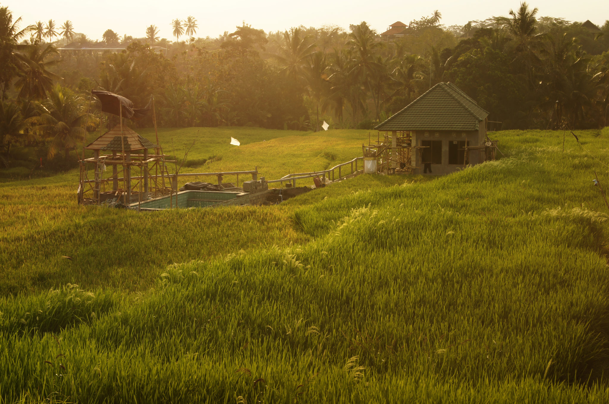 Endlose Reisfelder auf Bali zählen zu den besten Indonesien Reisetipps