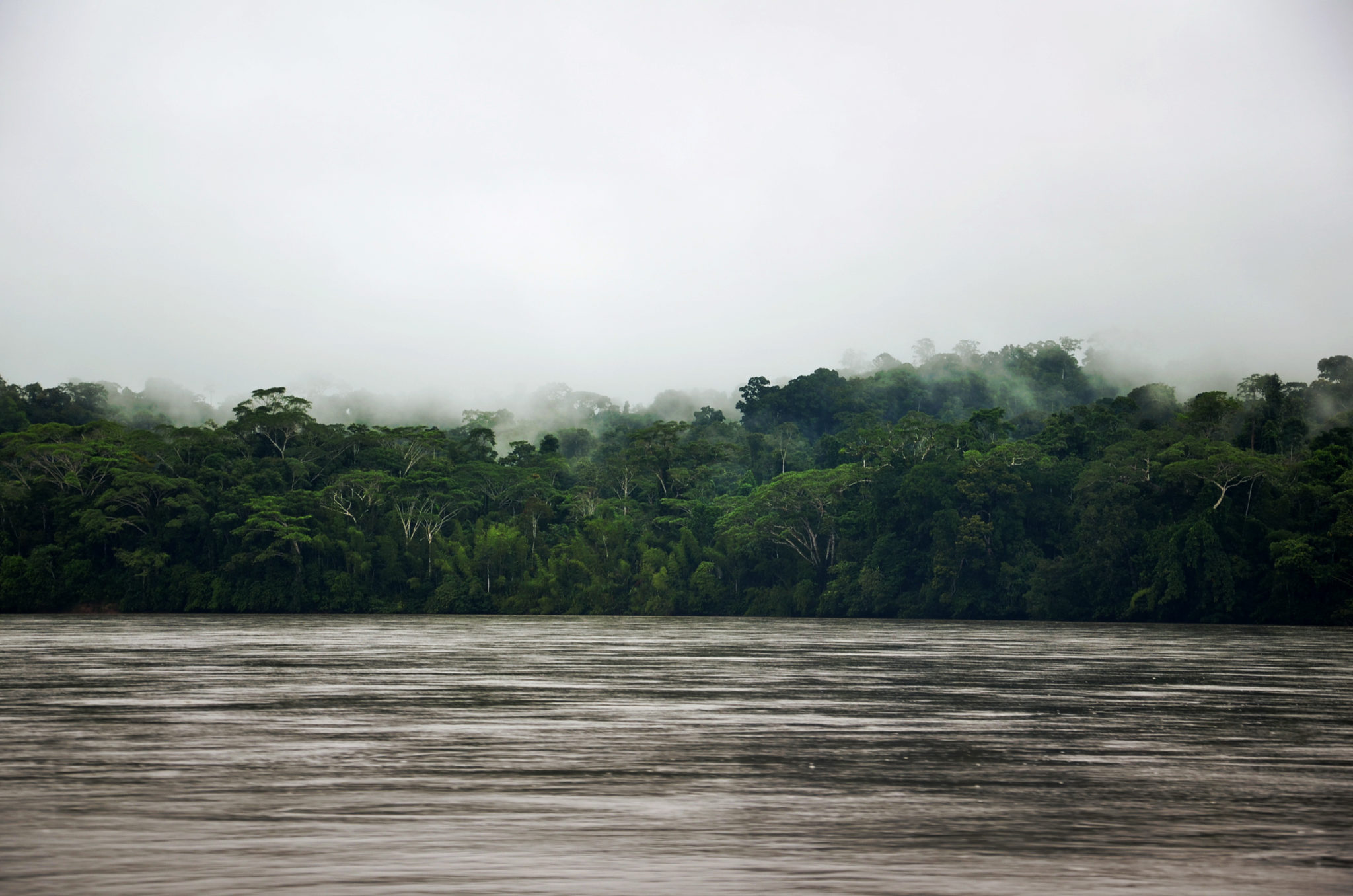 Napo Fluss im Yasuni Nationalpark