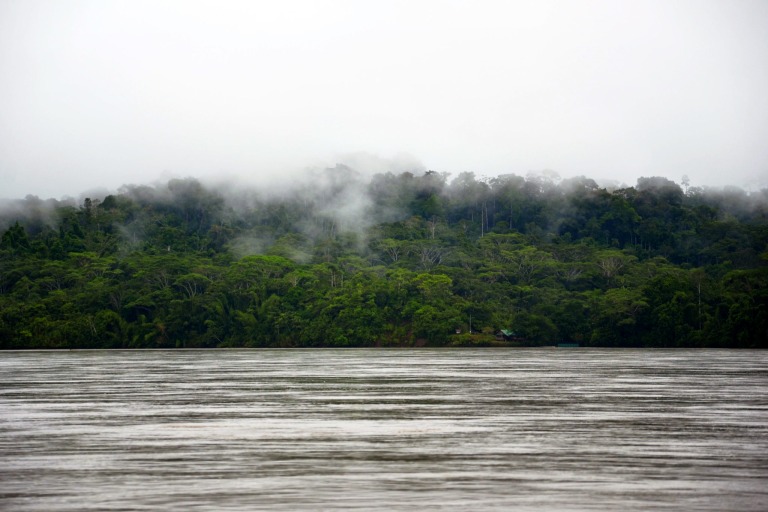 Der Napo-Fluss im Dschungel von Ecuador