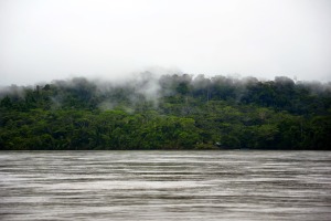 Der Napo-Fluss in Ecuador