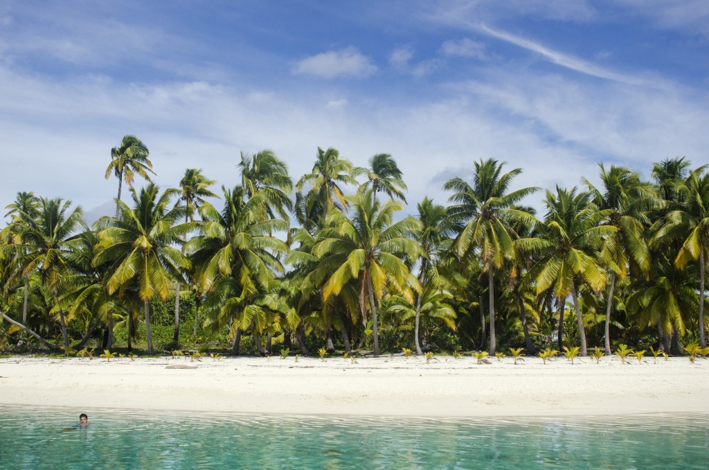 Strand mit Palmen in Aitutaki auf den Cookinseln
