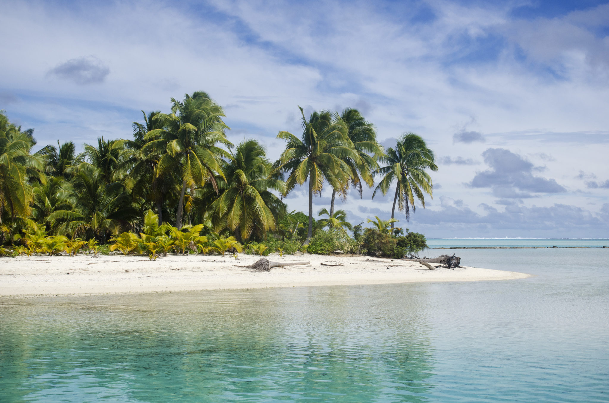 Aitutaki-Cook-Islands-Palmen