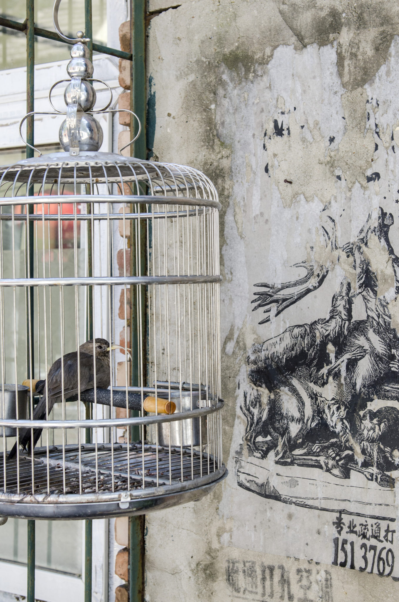 Vogelkäfig im Kunstviertel 798 Art District in Peking