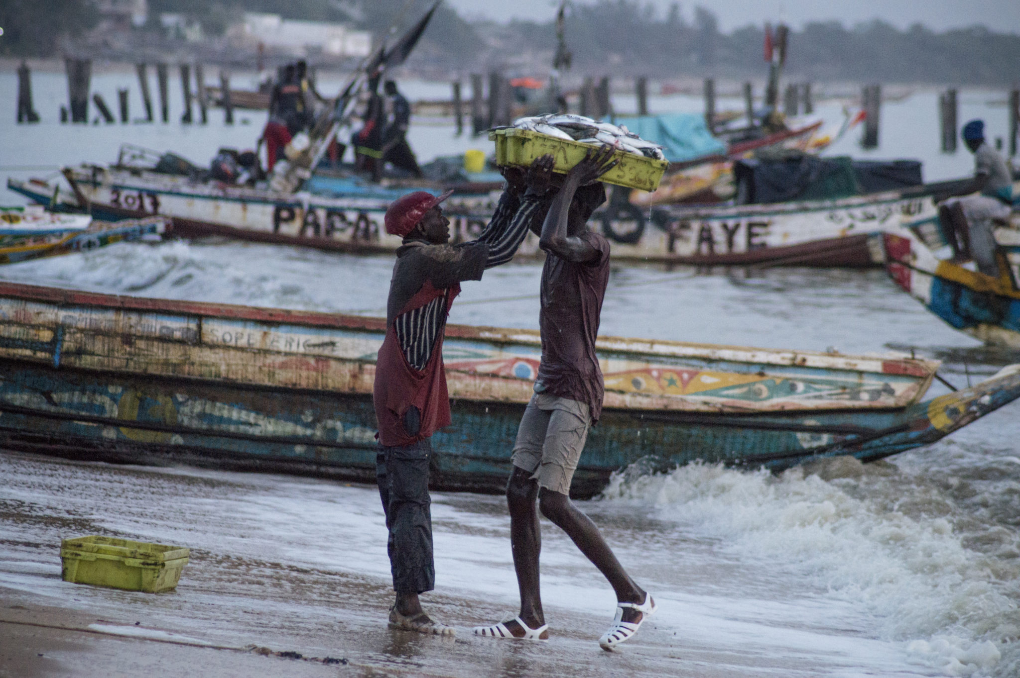 Fischer im Wasser auf dem Fischmarkt im Senegal