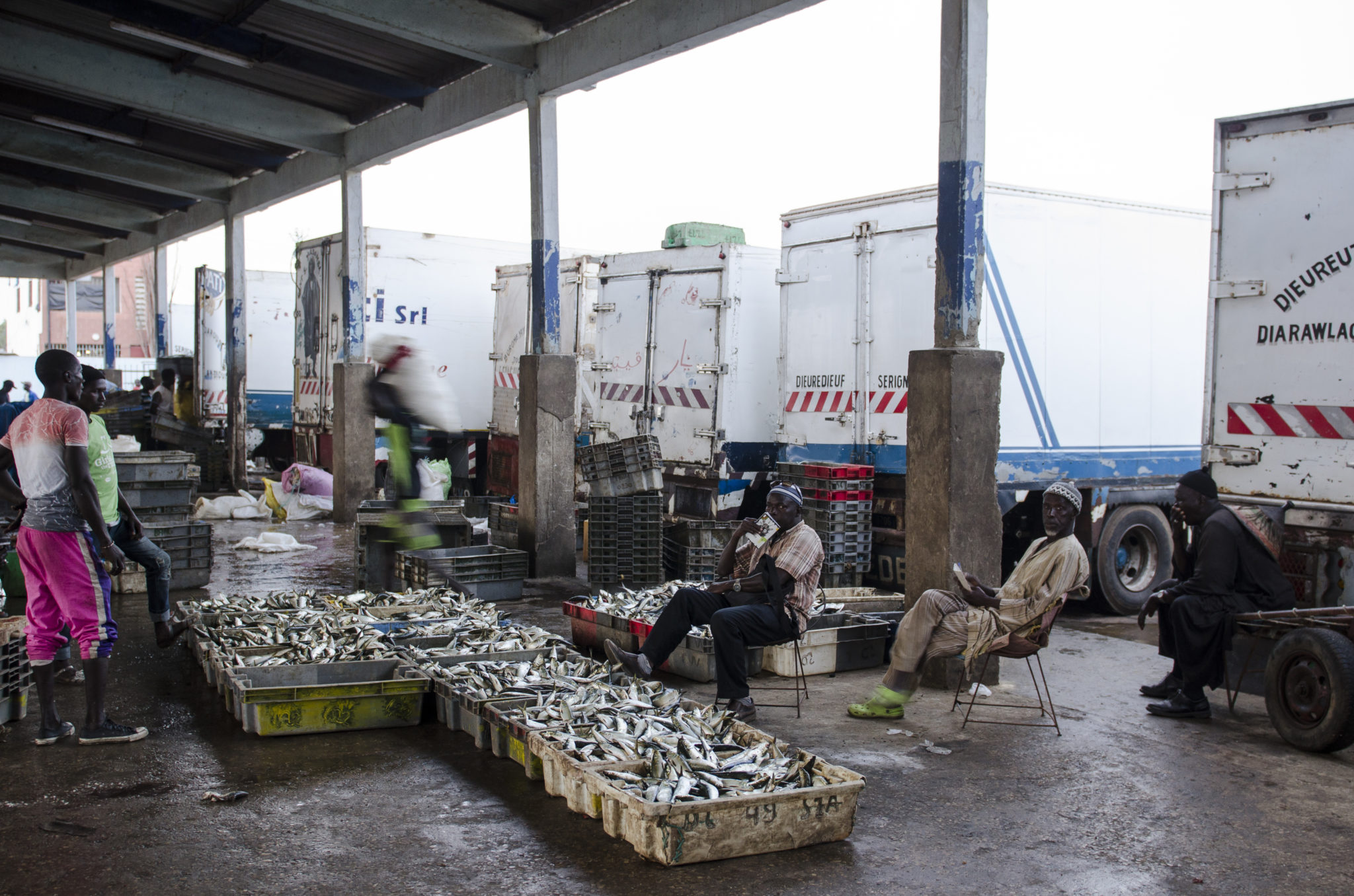 Auf dem Fischmarkt in Senegal werden LKW beladen. 