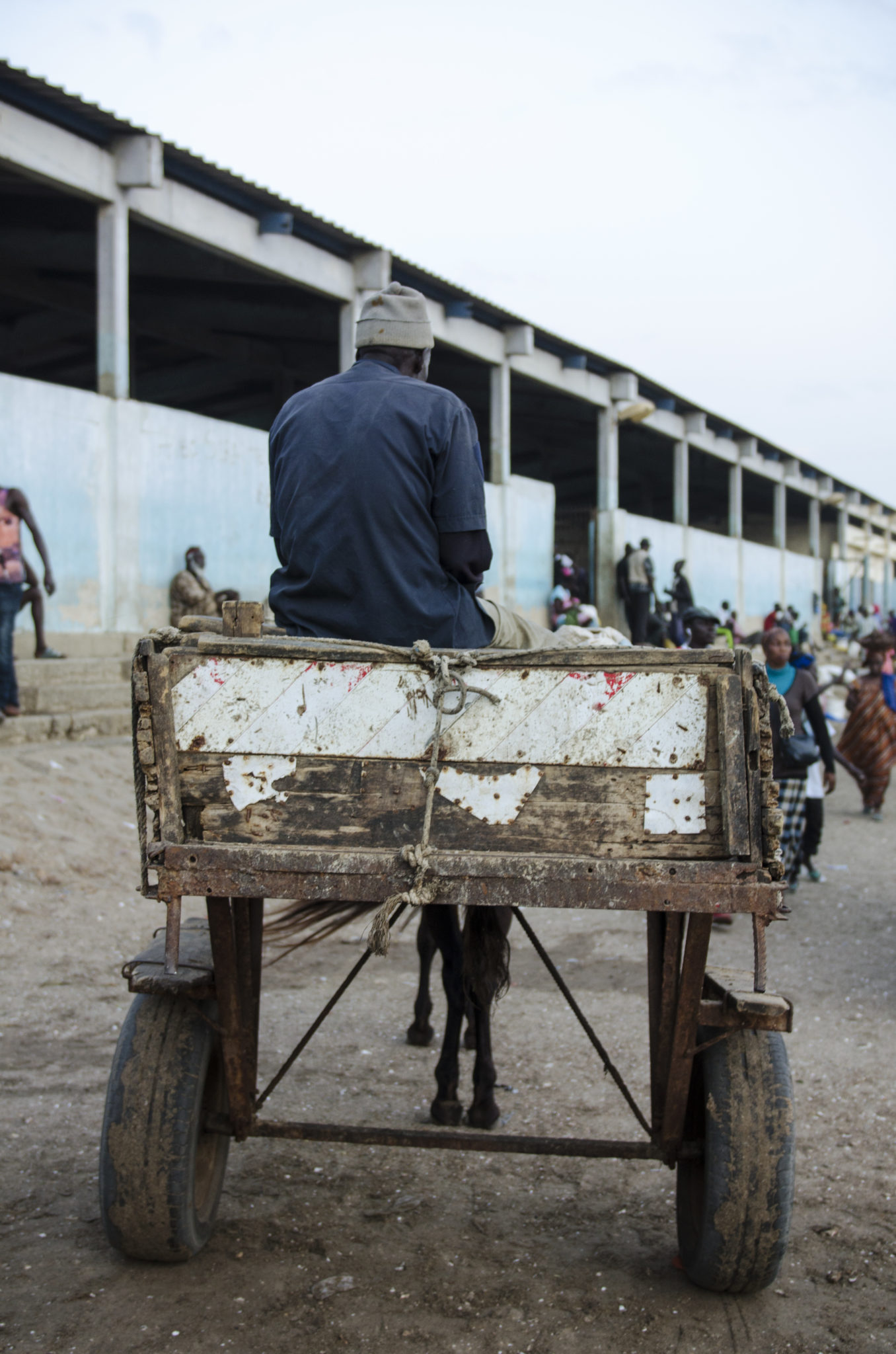 Eine Pferdekusche aus dem Fischmarkt in Mbour im Senegal