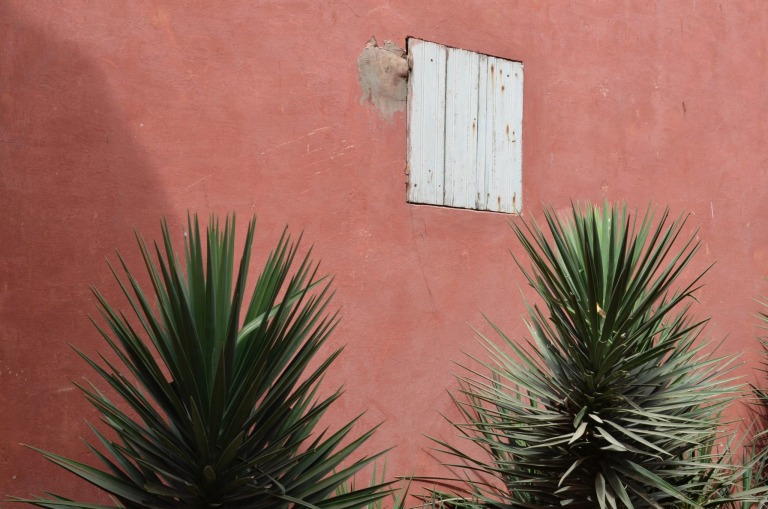 Fassade und Kakteen in Dakar im Senegal
