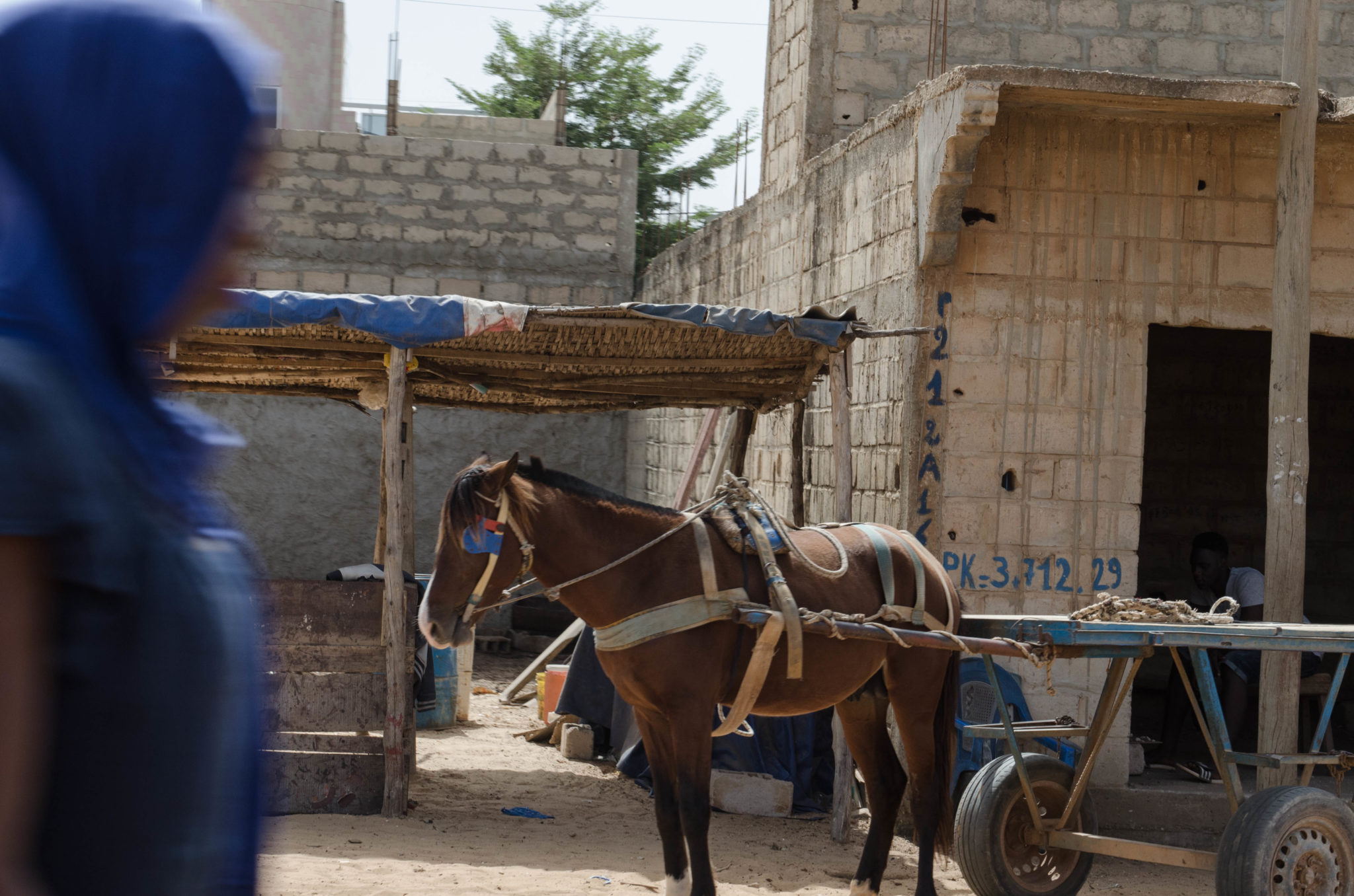 planet schule: Dakar · Städte am Meer