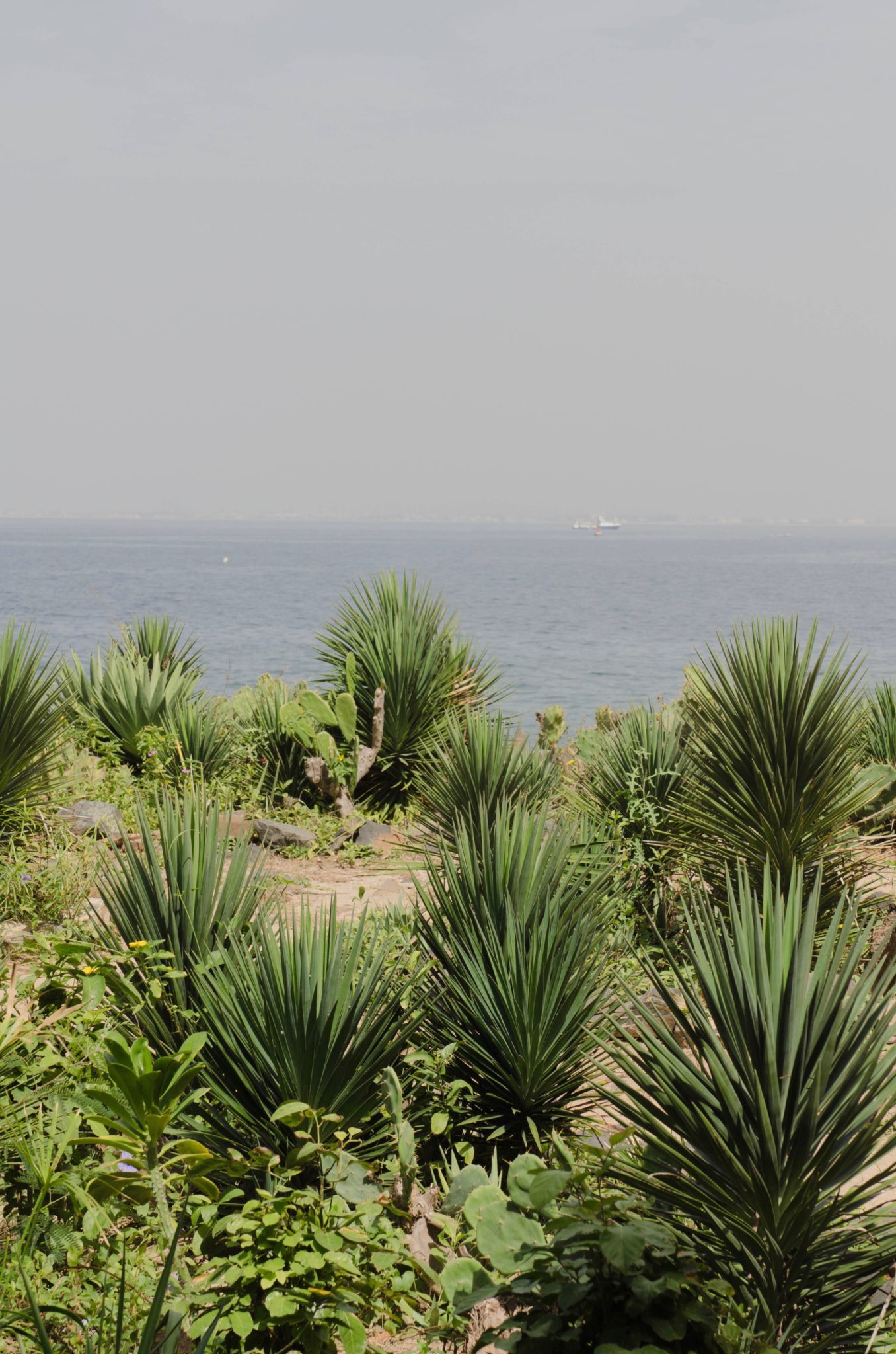 Senegal Reisen können auch sehr grün sein