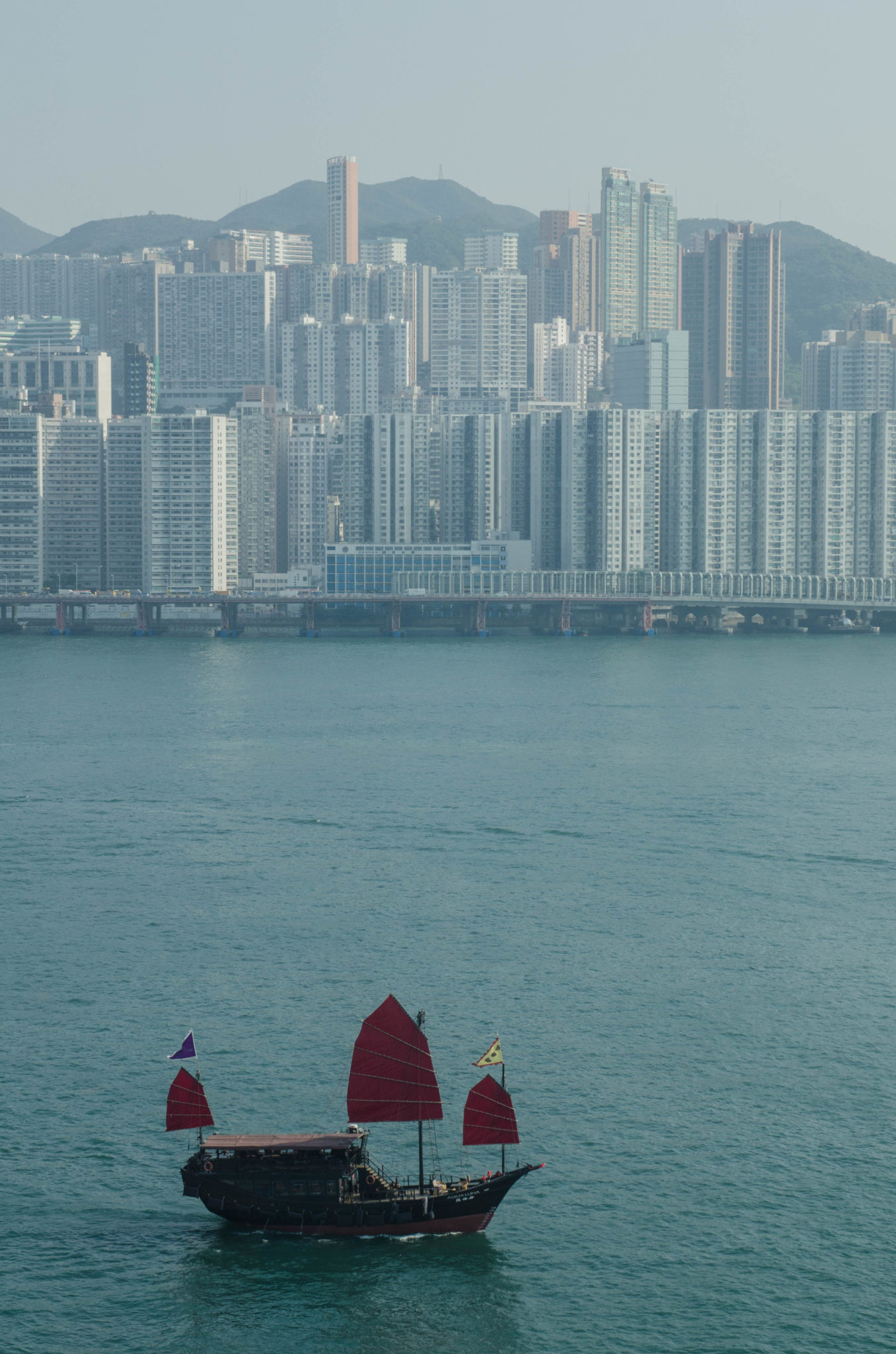 Gerade am Abend ist der Trip mit Hongkongs knallroter Dschunke ein echtes Highlights