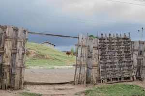 Kühe und Einwohner leben bei den Dorze in Äthiopien in unmittelbarer Nähe