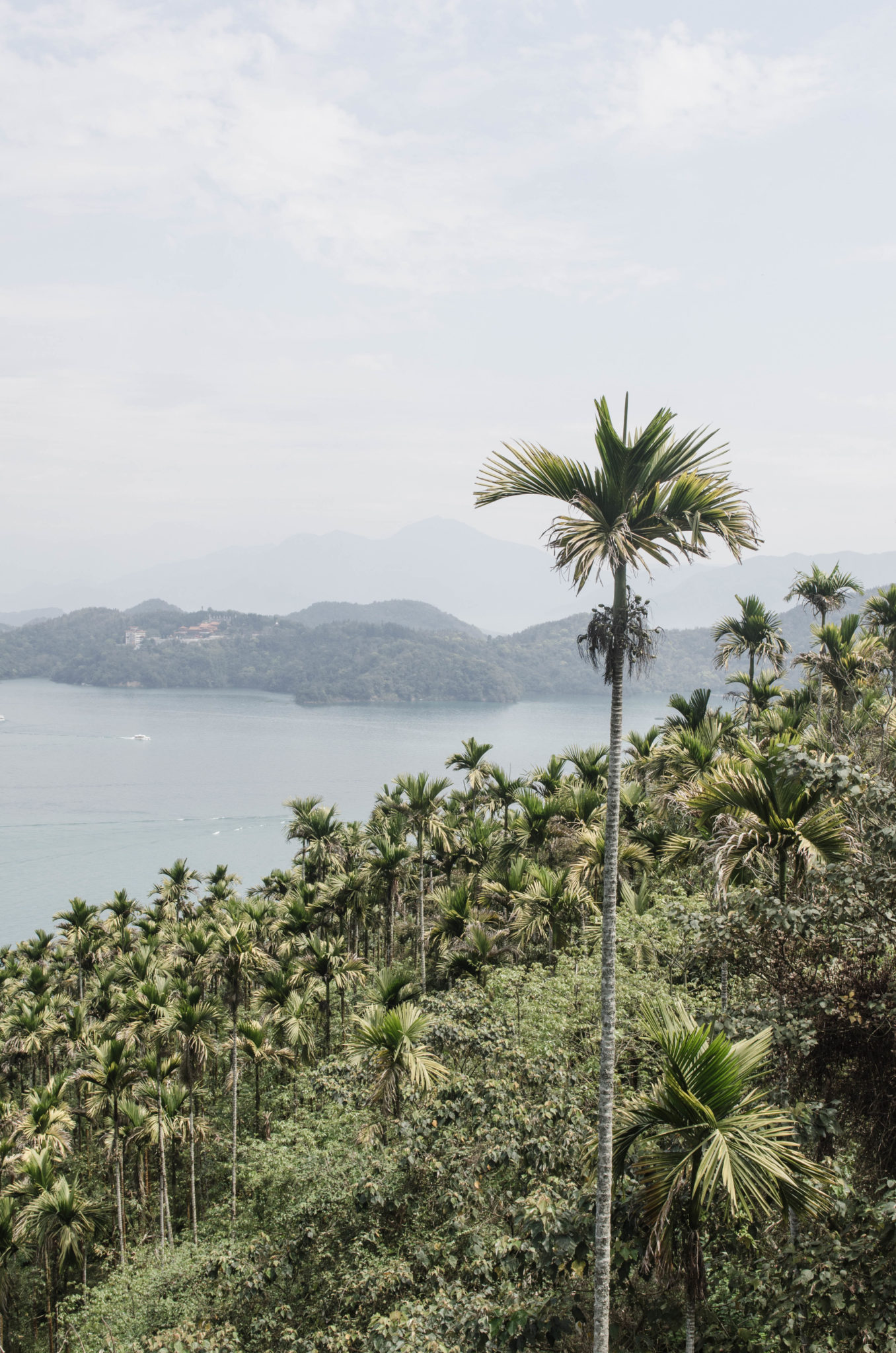 Ein Besuch am Sun Moon Lake darf auf gar keinen Fall auf der Taiwan Rundreise fehlen.