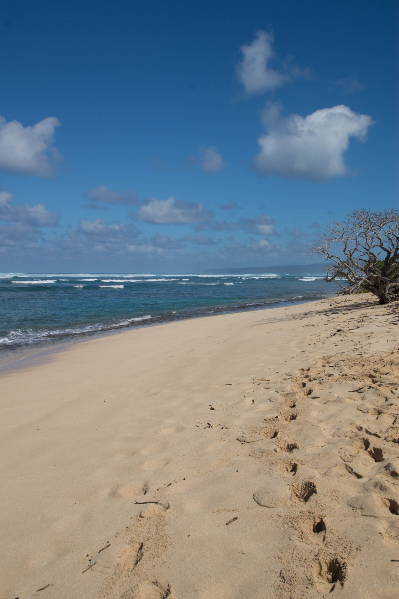 Strand von Hawaii