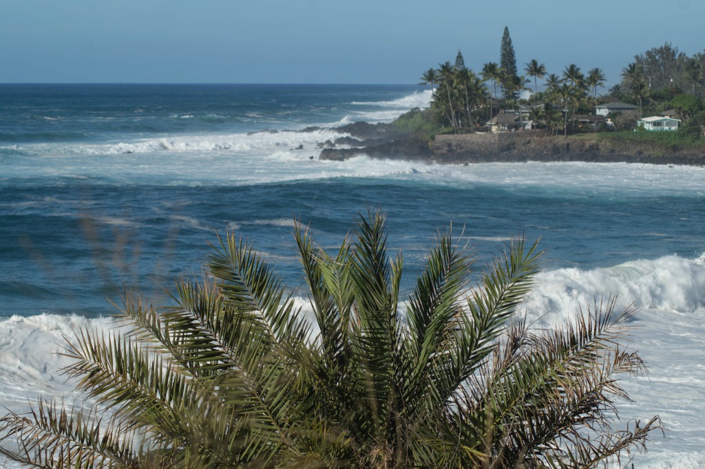 Oahu Hawaii Sehenswürdigkeiten: Tipps & Routenvorschlag für drei Tage Oahu