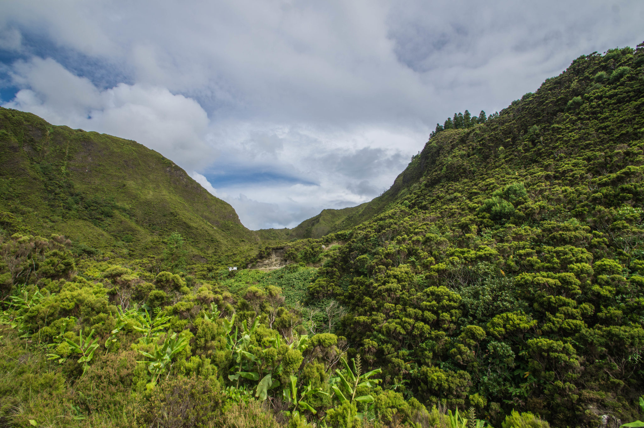 Der Wanderweg zum Lagoa do Fogo auf den Azoren