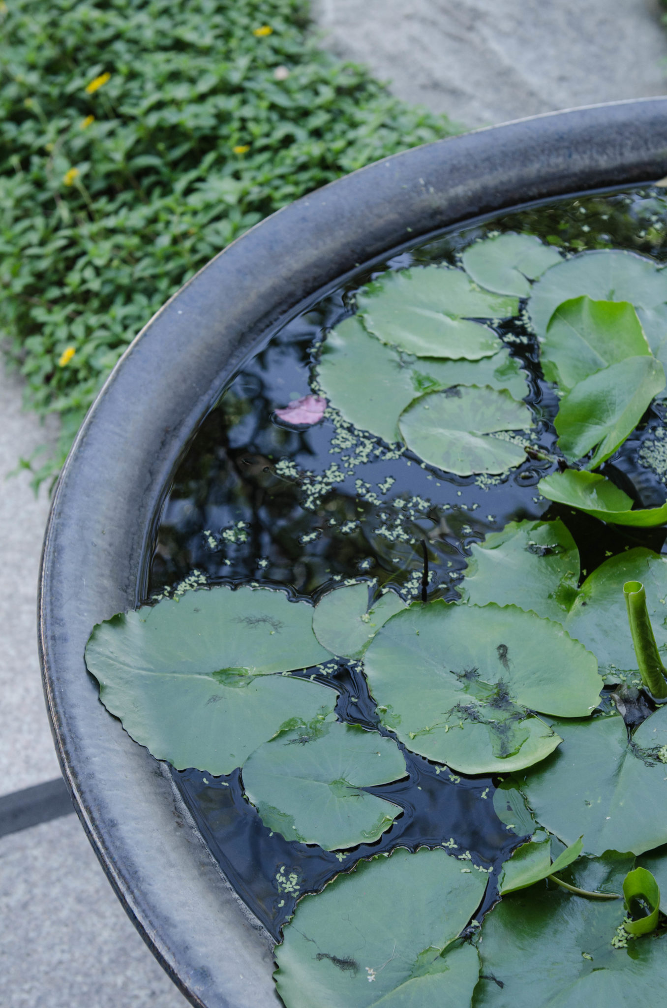 Shangri La Bangkok Hotel: Bewertung