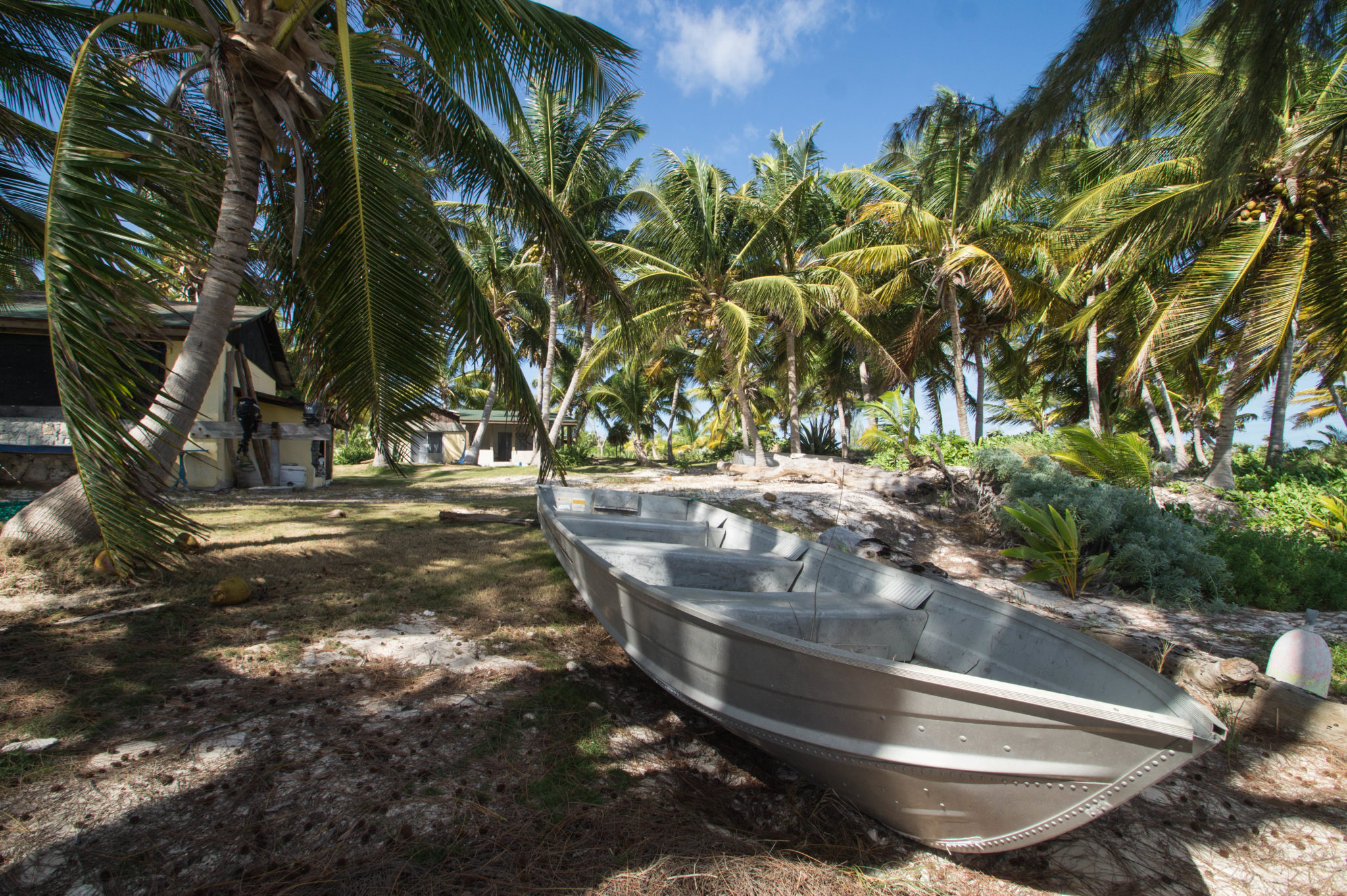 Greenwood Beach Resort: Hotel Bahamas Tipp