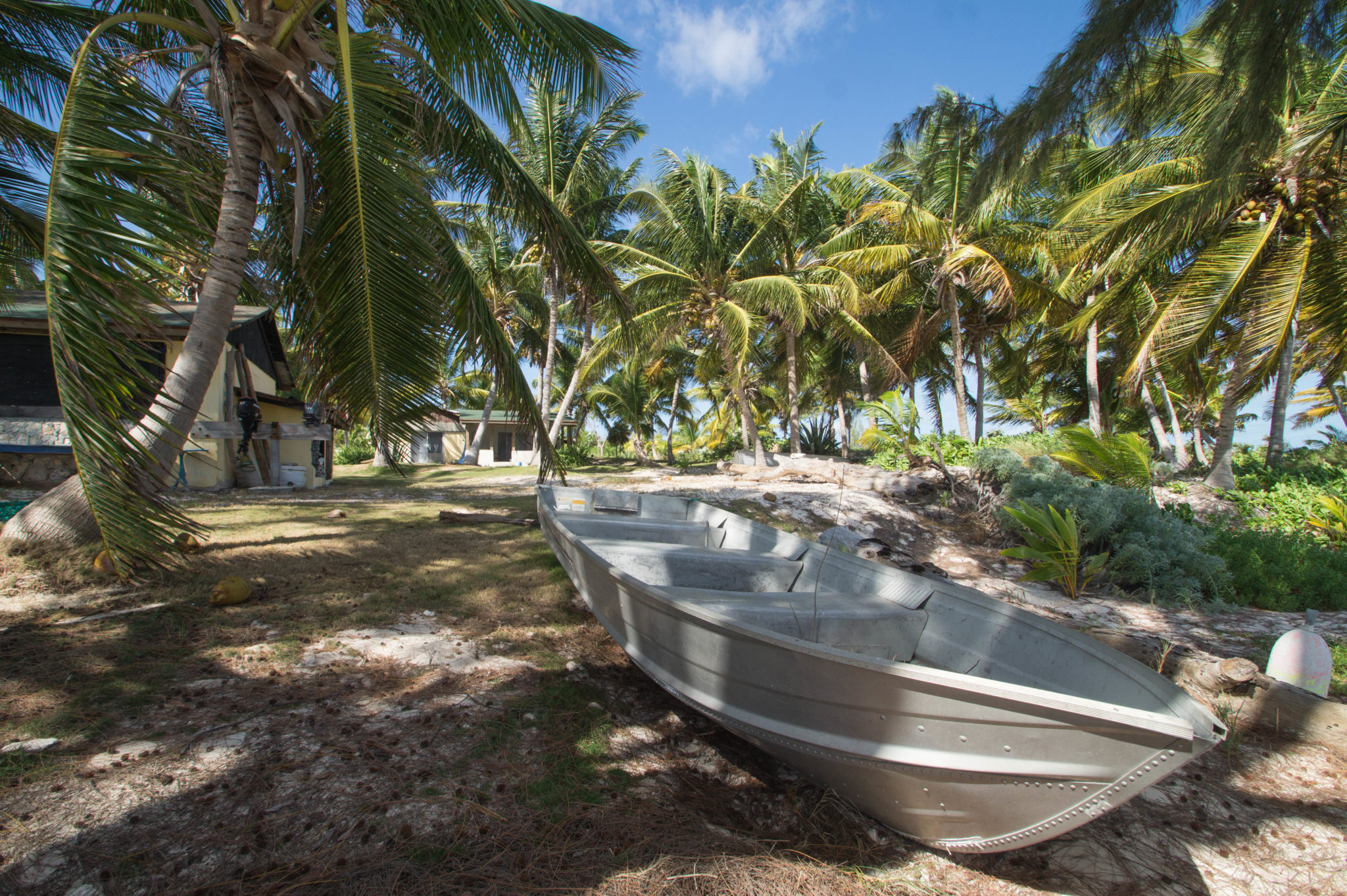 Cat Island Bahamas: Sehenswürdigkeiten und Tipps