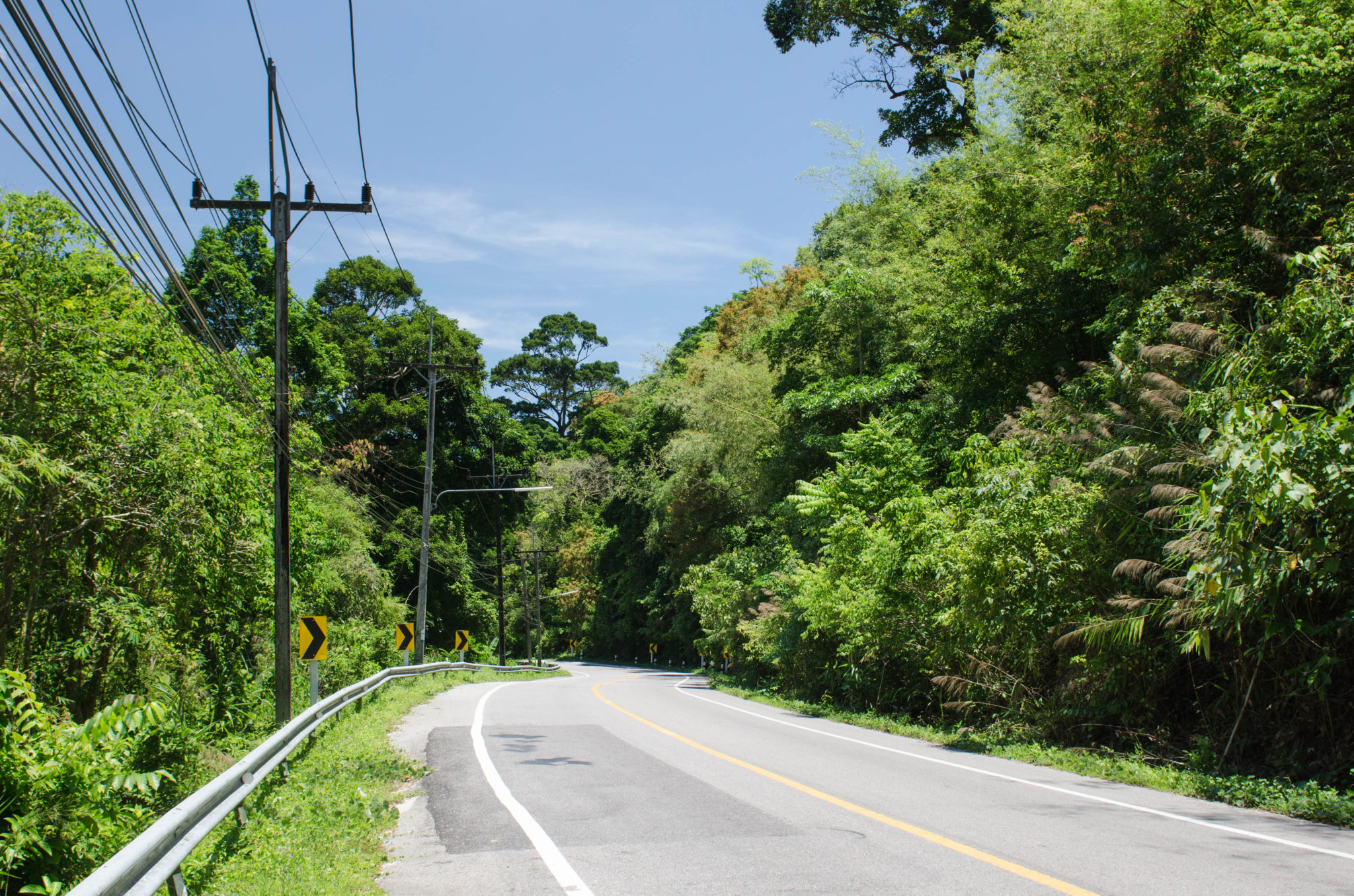 Endloses Grün und kurvige Straßen sind typisch für Thailand