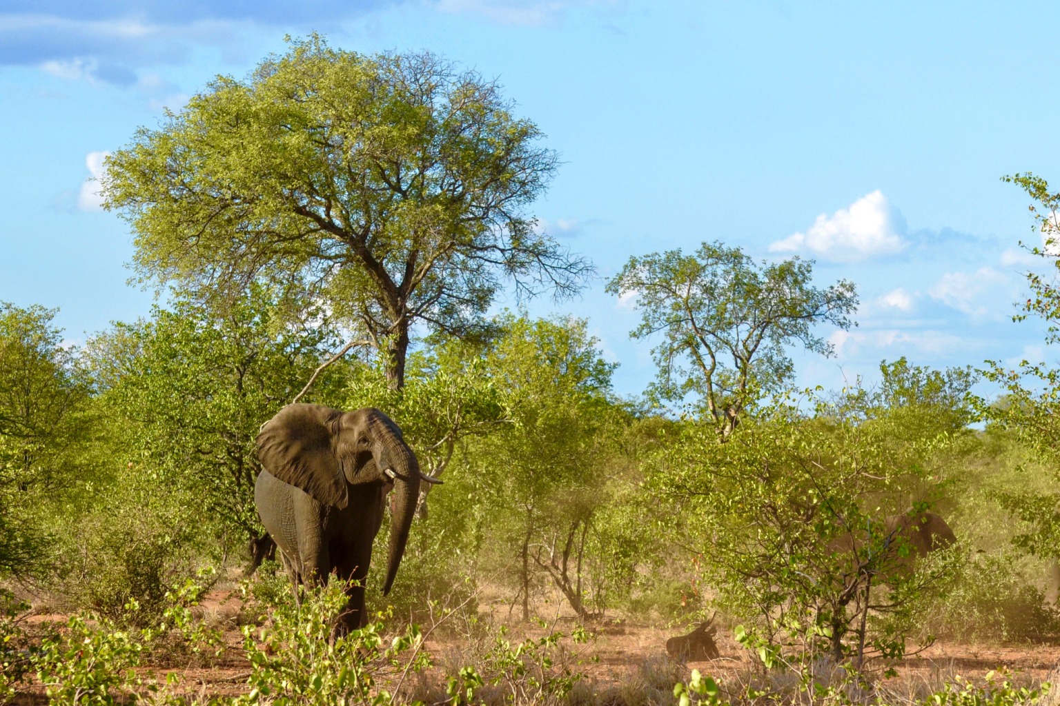 elfenbeink-ste-reisetipps-21-praktische-tipps-f-r-c-te-d-ivoire