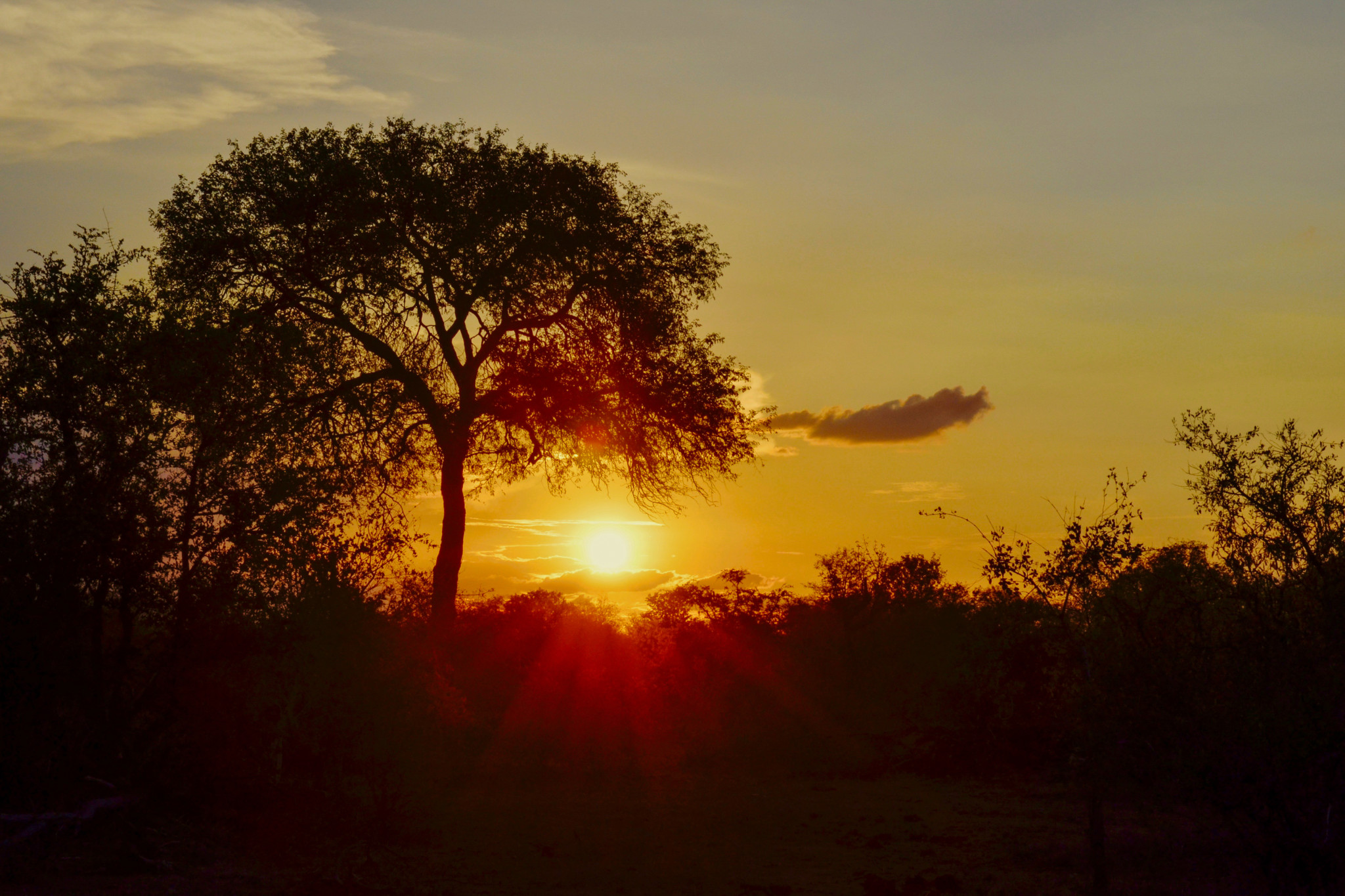 Sonnenuntergänge auf Safari sind unbezahlbar
