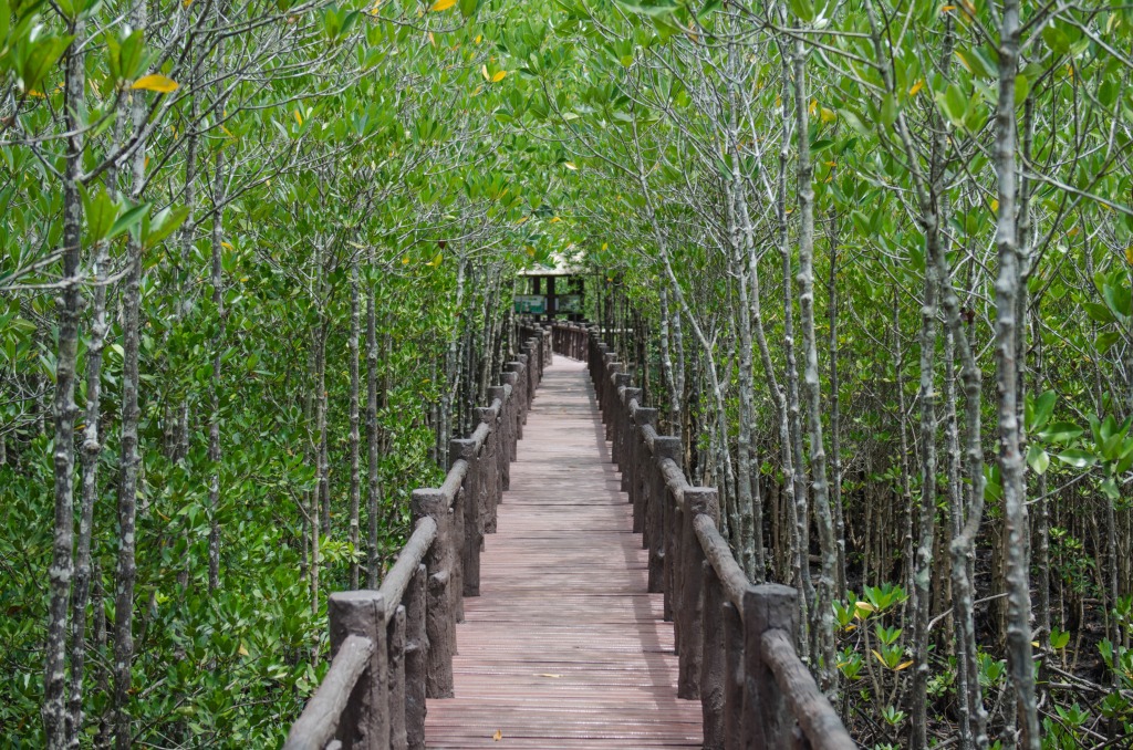 Holzbrücke in Chumphon