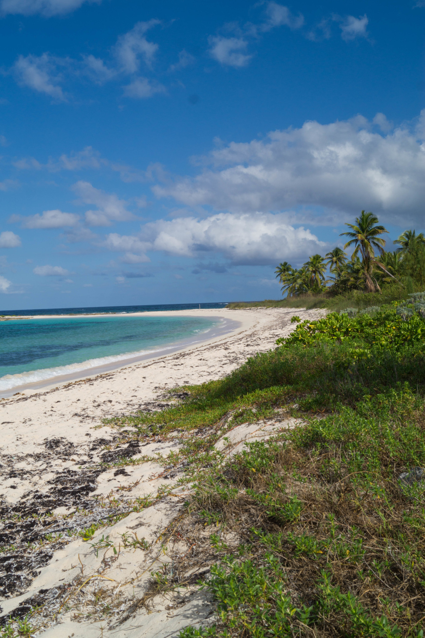 Verlassener Cocodimama Strand auf den Bahamas