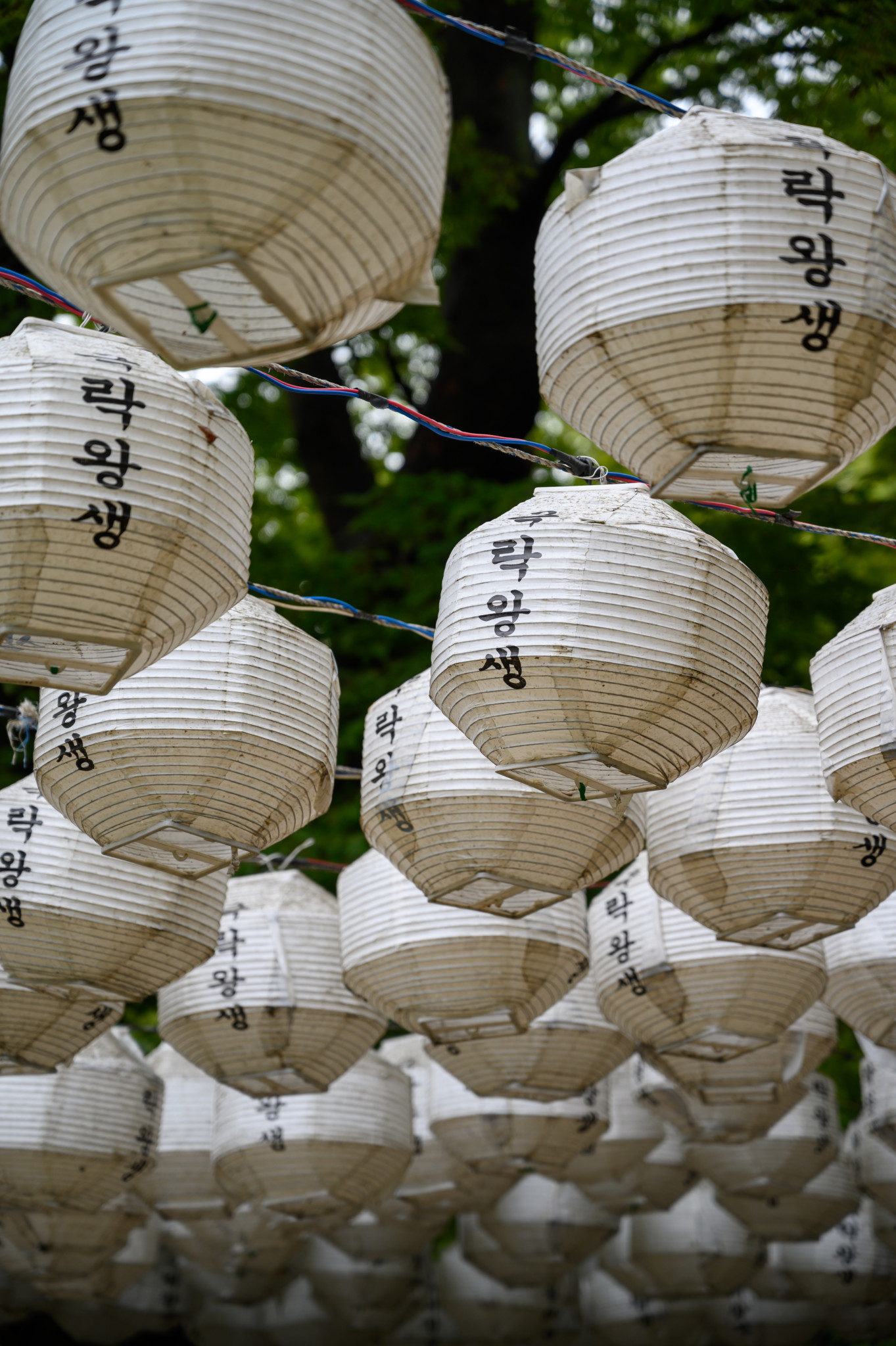 Lampions im Jeondeungsa Tempel auf Gangwa Island in Südkorea