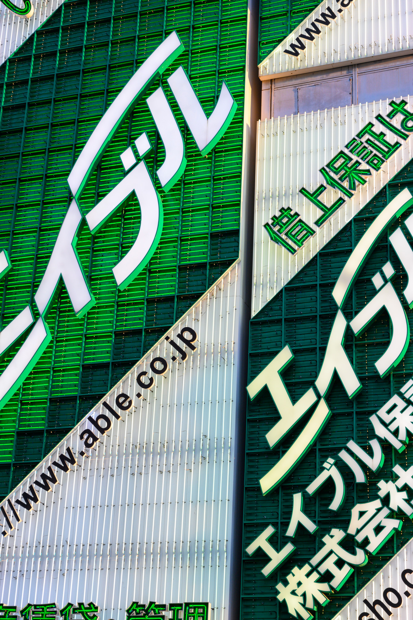 Neonreklame in Dotonbori in Osaka in Japan