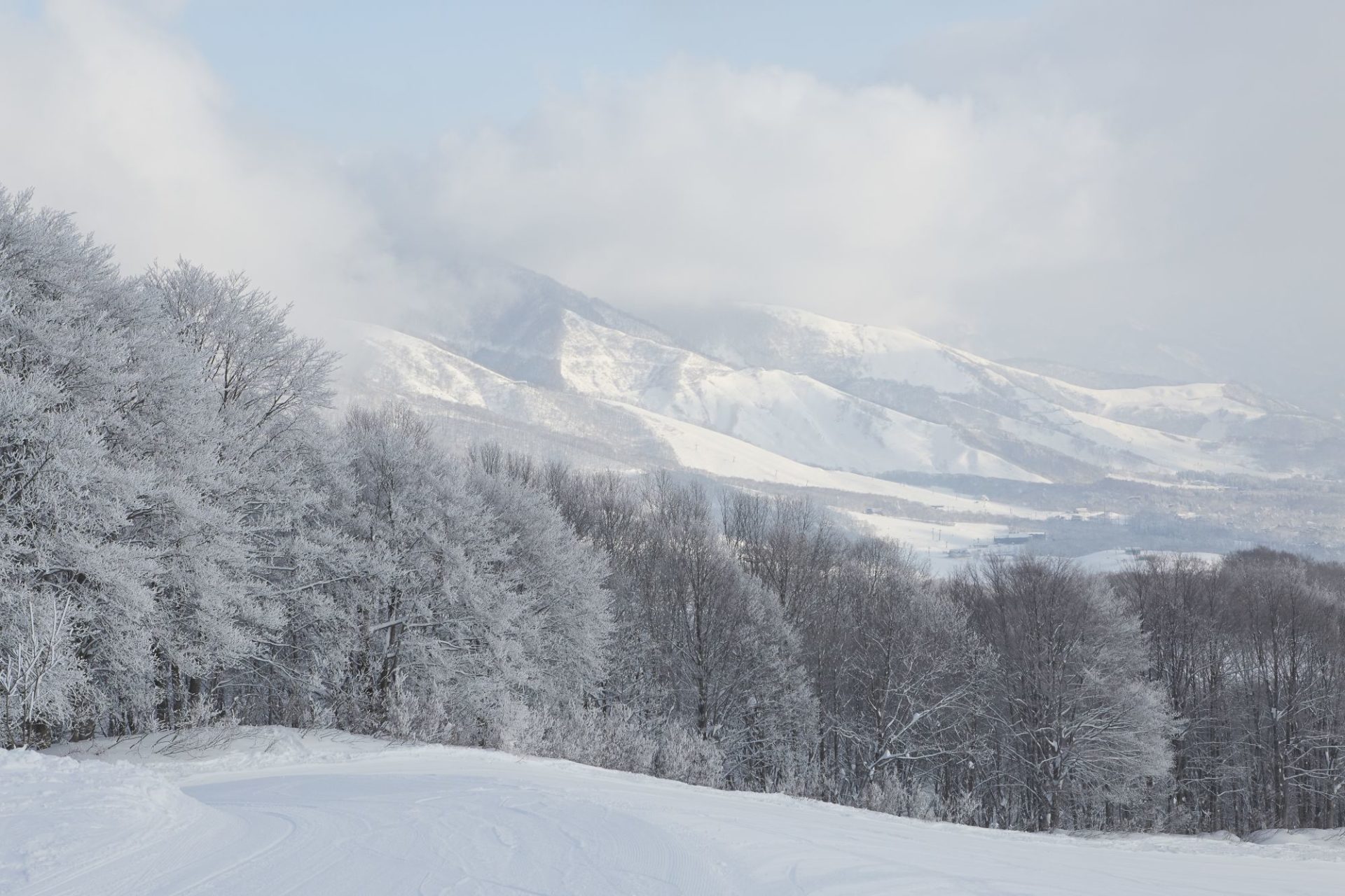 Winterlandschaft in Nagano in Japan