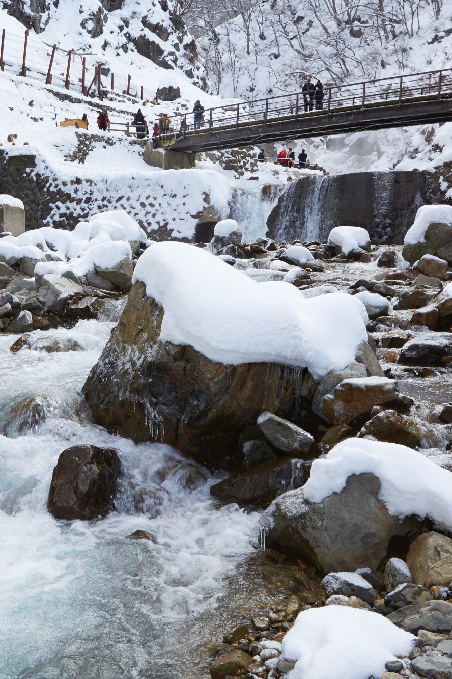 Winter im Affenpark von Nagano