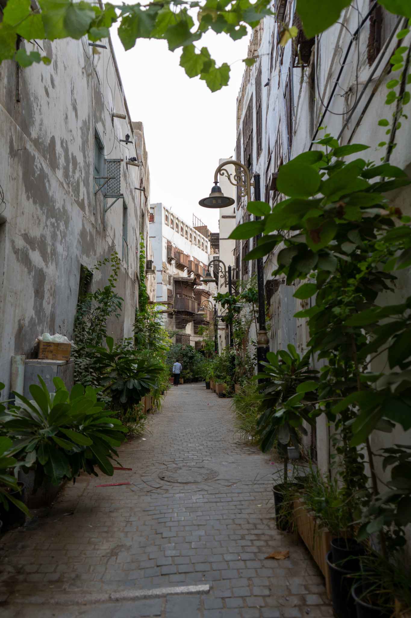 Bepflanzte Gasse in der Altstadt von Jeddah