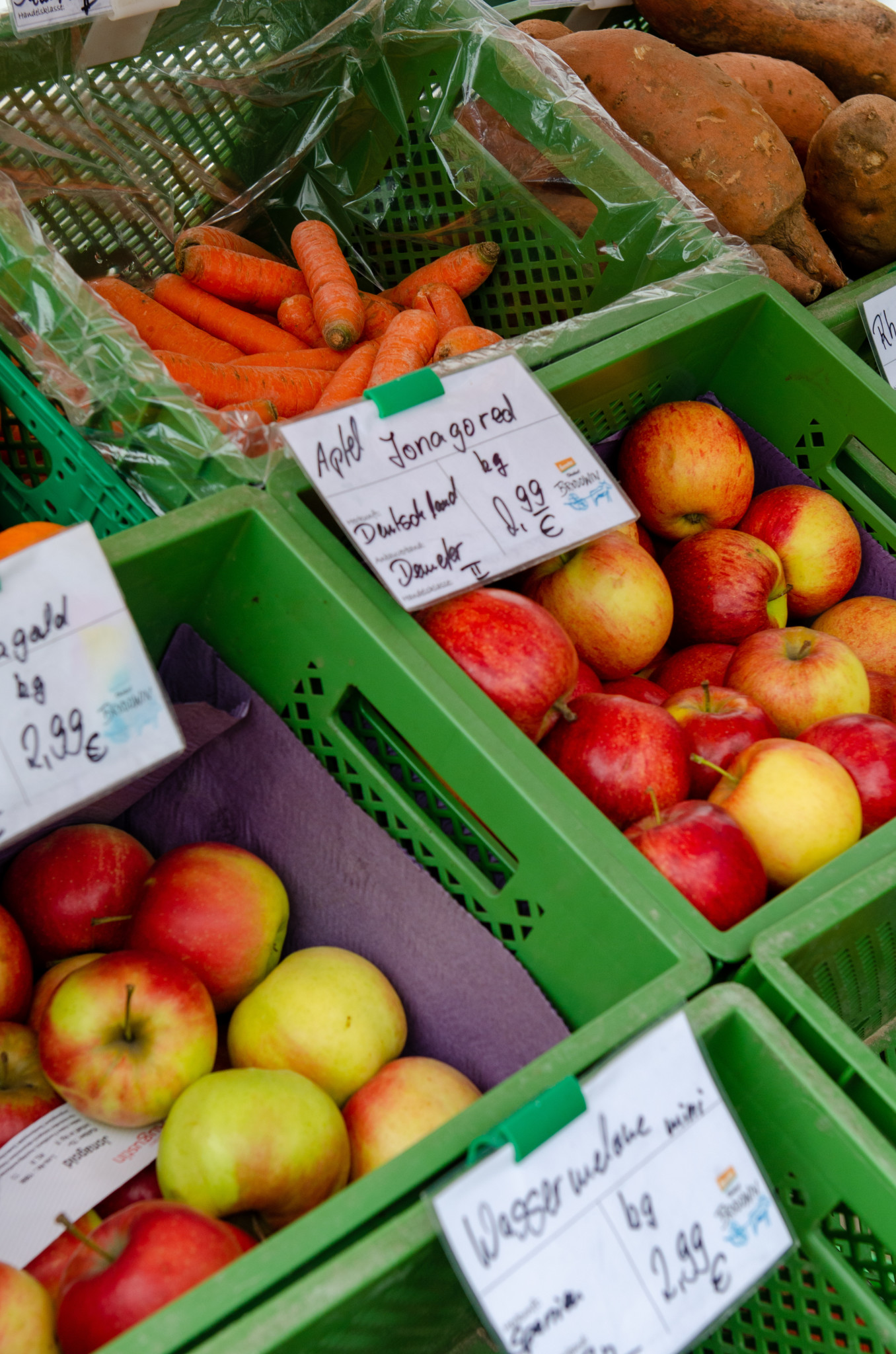 Frische Äpfel in Brodowin