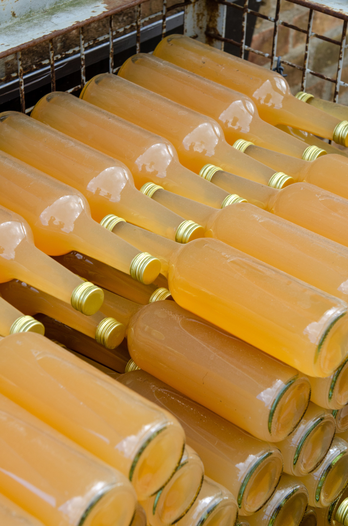 Apfelsaft bei der Apfelgräfin in Lichtenhain in Boitzenburg