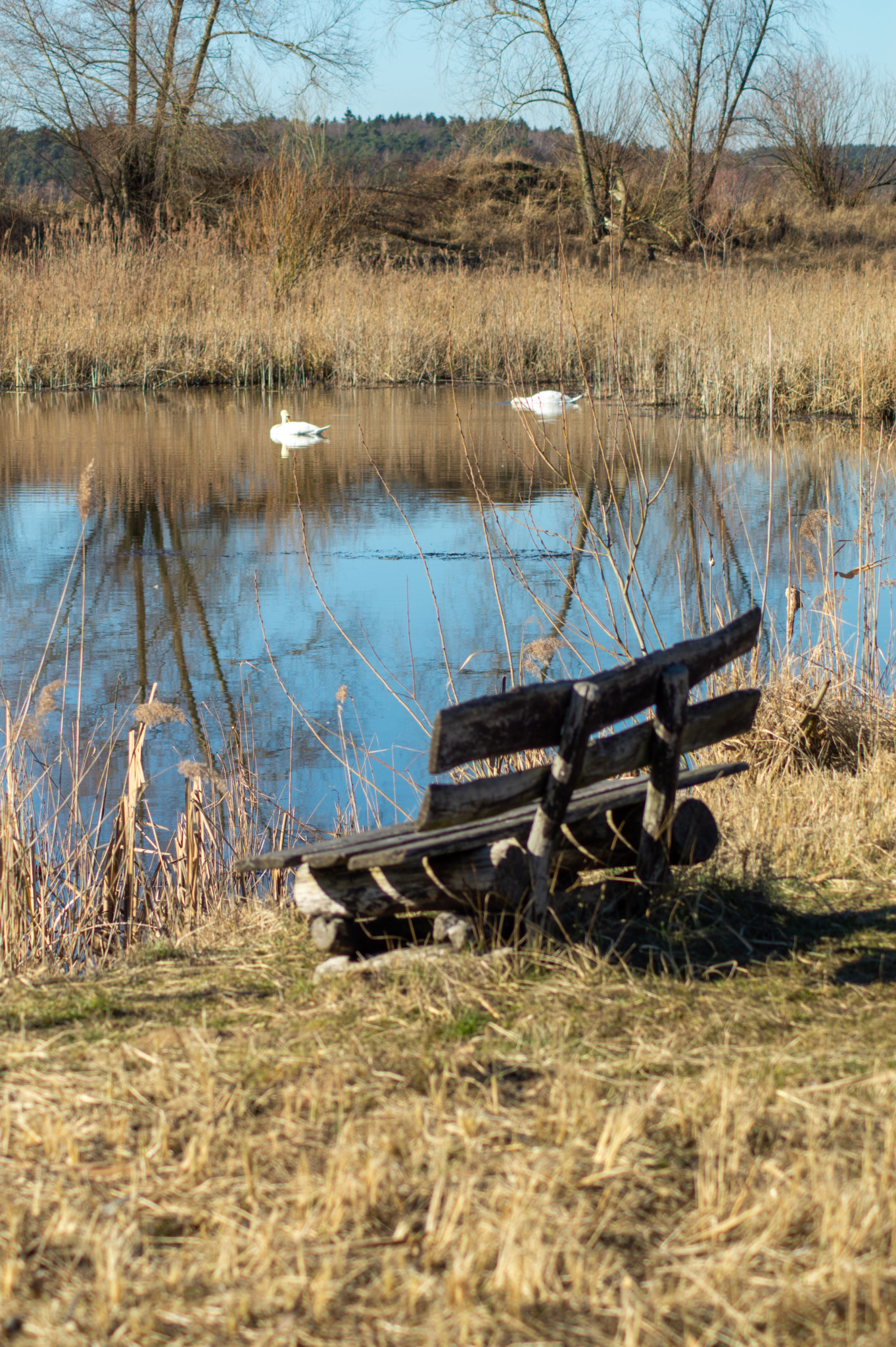 Bank in der Blumberger Mühle