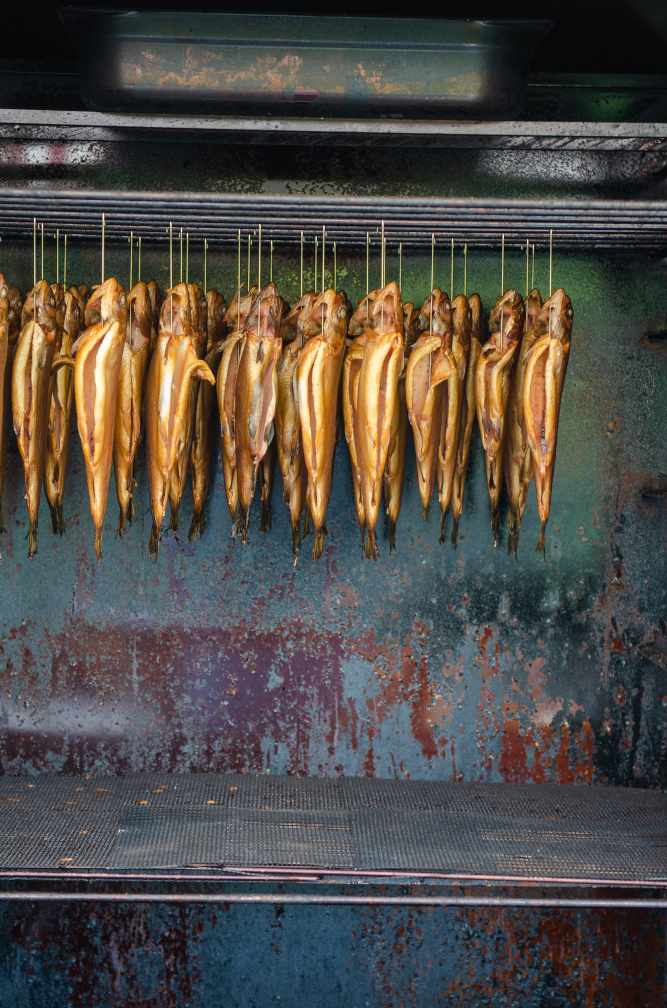 Fisch bei Glut und Späne