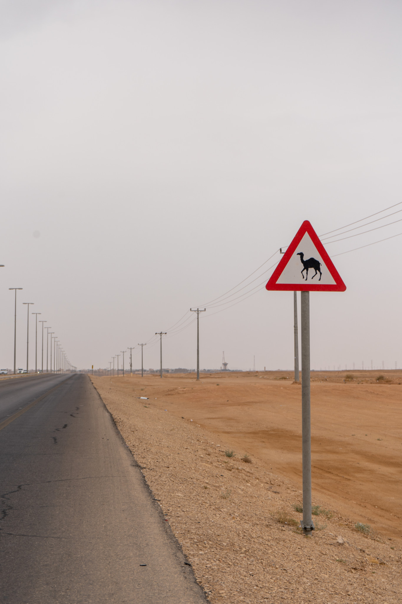 Ausflüge ab Riad führen meist in die Wüste