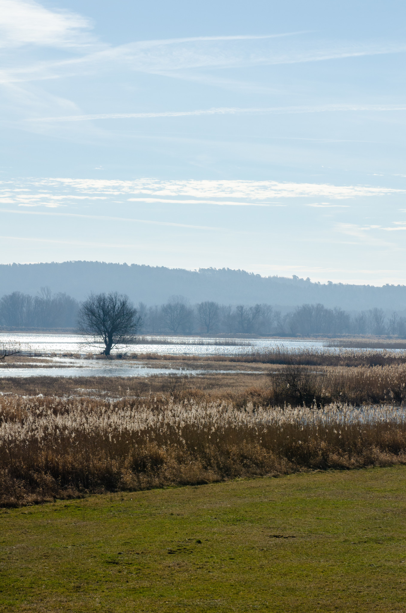 Weite Polderlandschaft im Naturpark Unteres Odertal