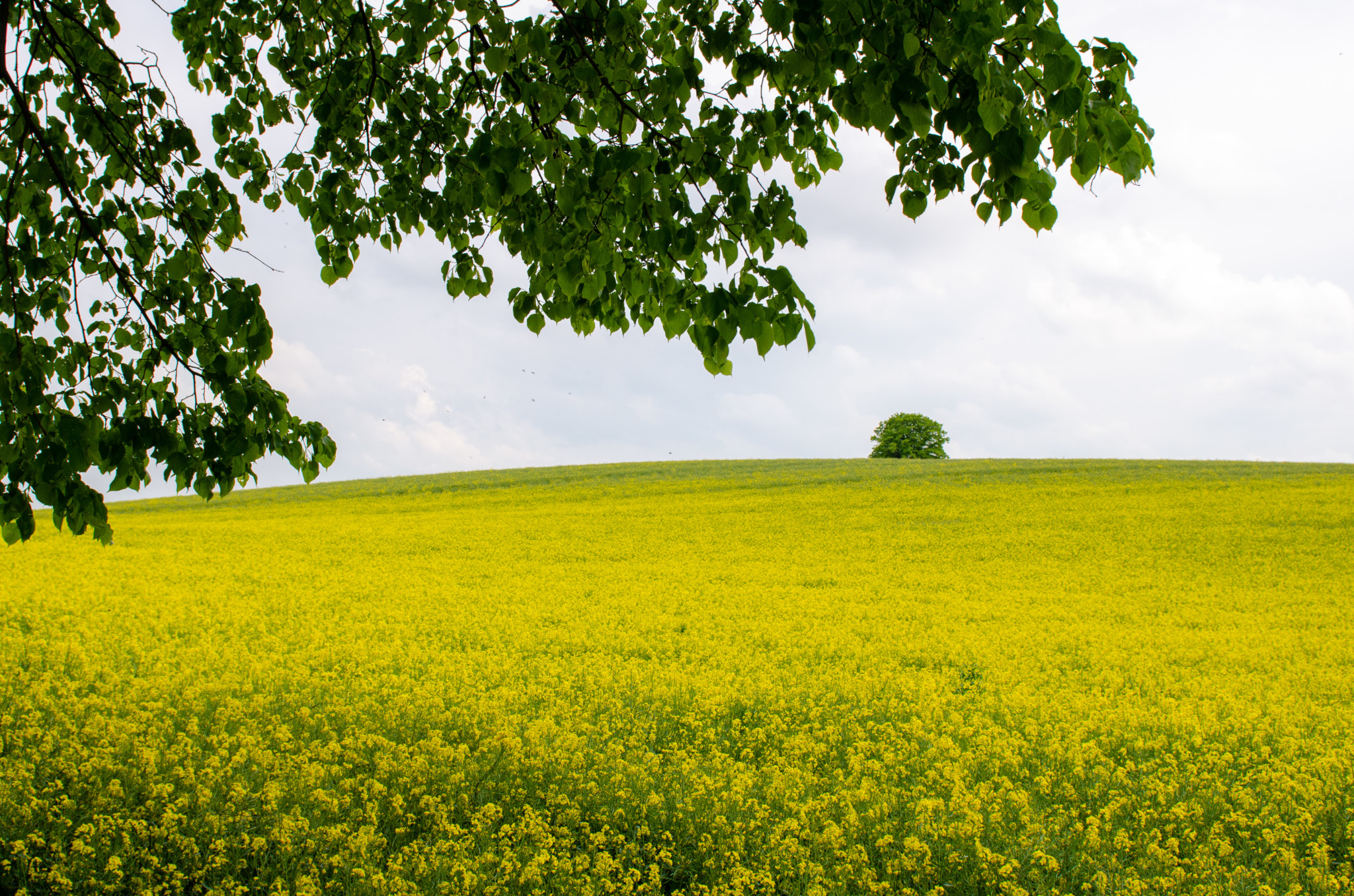 Unsere liebsten Tipps für einen Uckermark Urlaub inklusive Sehenswürdigkeiten und Ausflugsziele