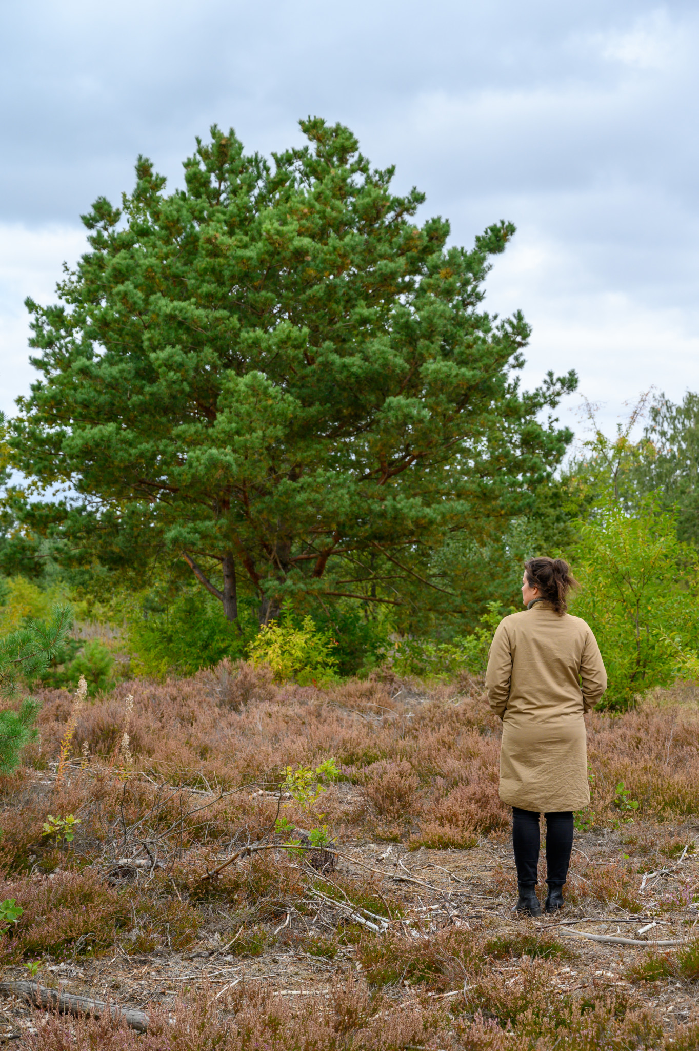 Zu den Tipps in Brandenburg gehört auch die Schönower Heide