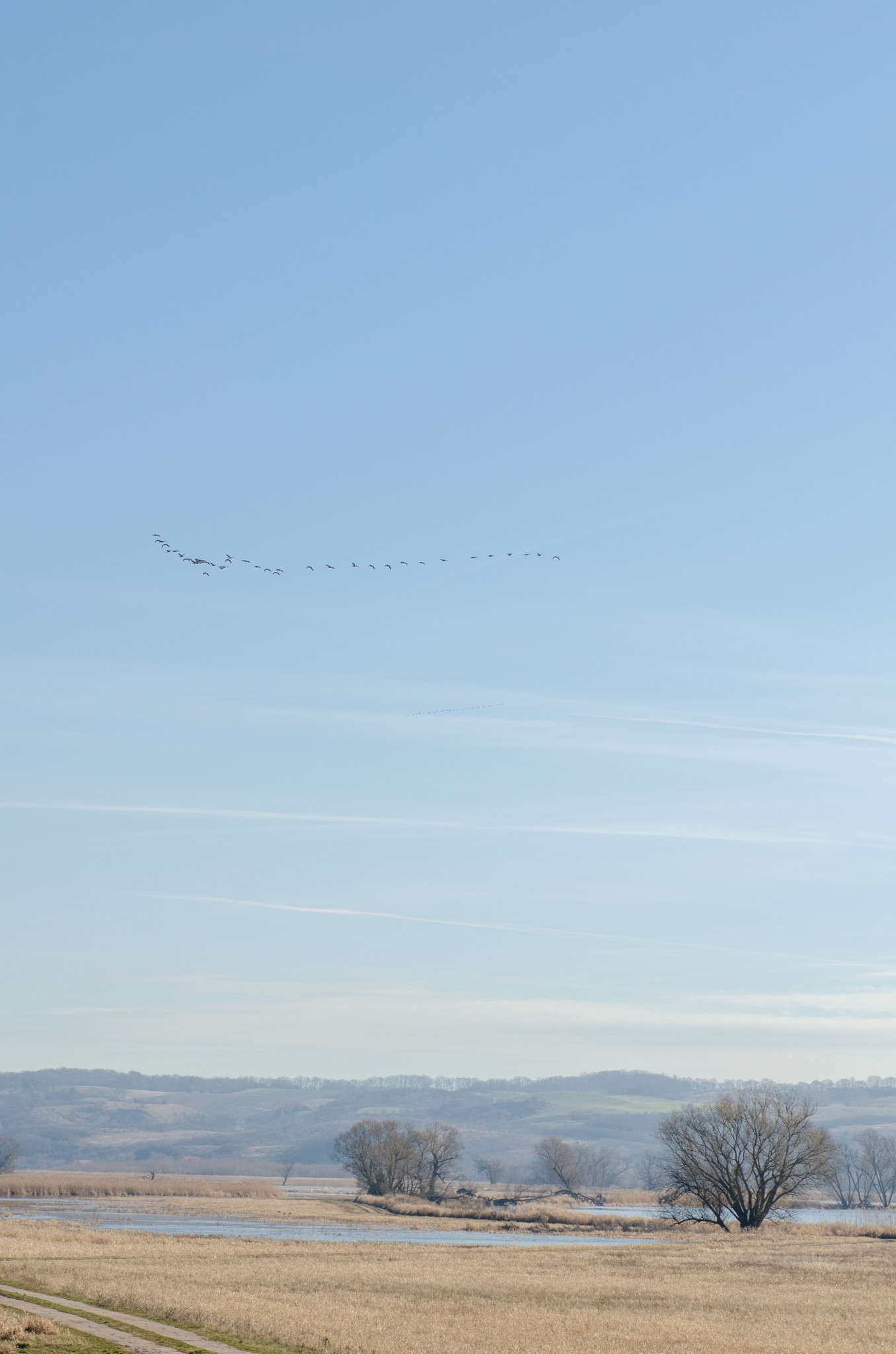 Unteres Odertal in der Uckermark