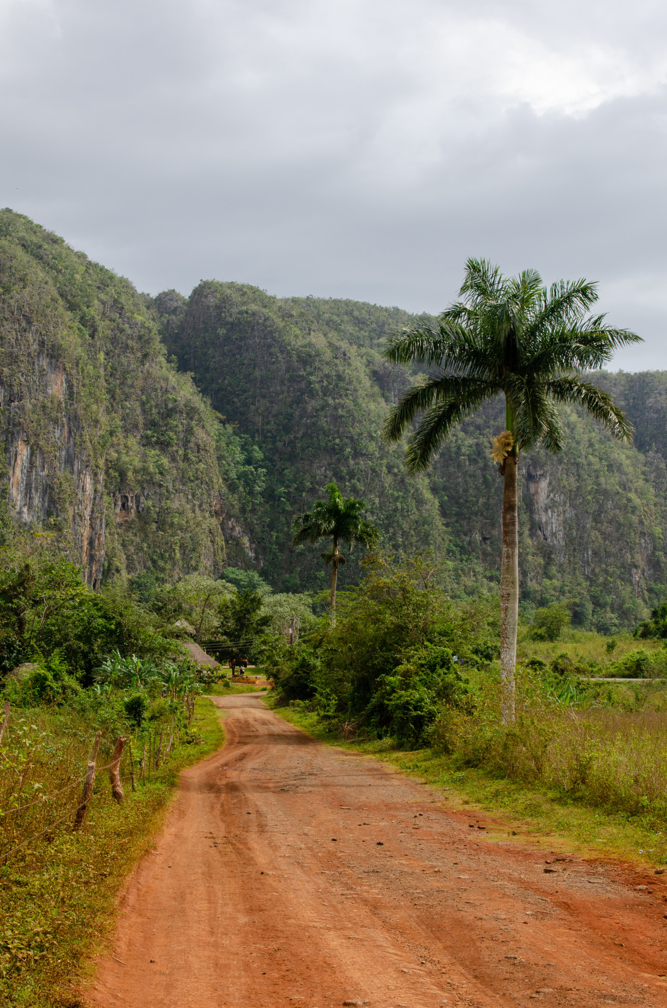 Unbefahrene Straße im Valle de Vinales