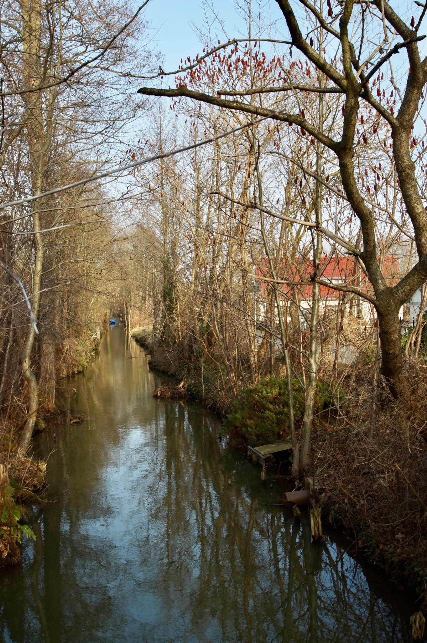 Die typische Landschaft im Spreewald bei Berlin