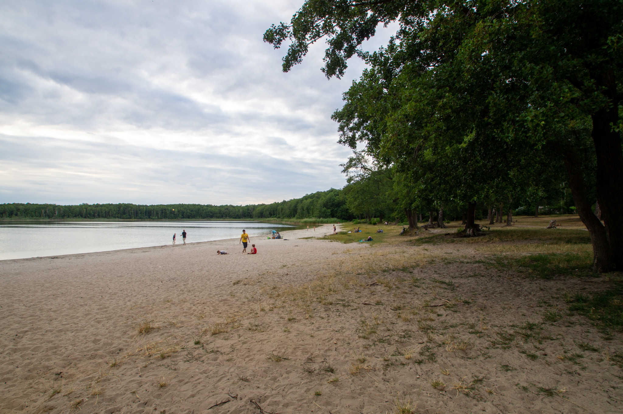 Gorinsee in Brandenburg