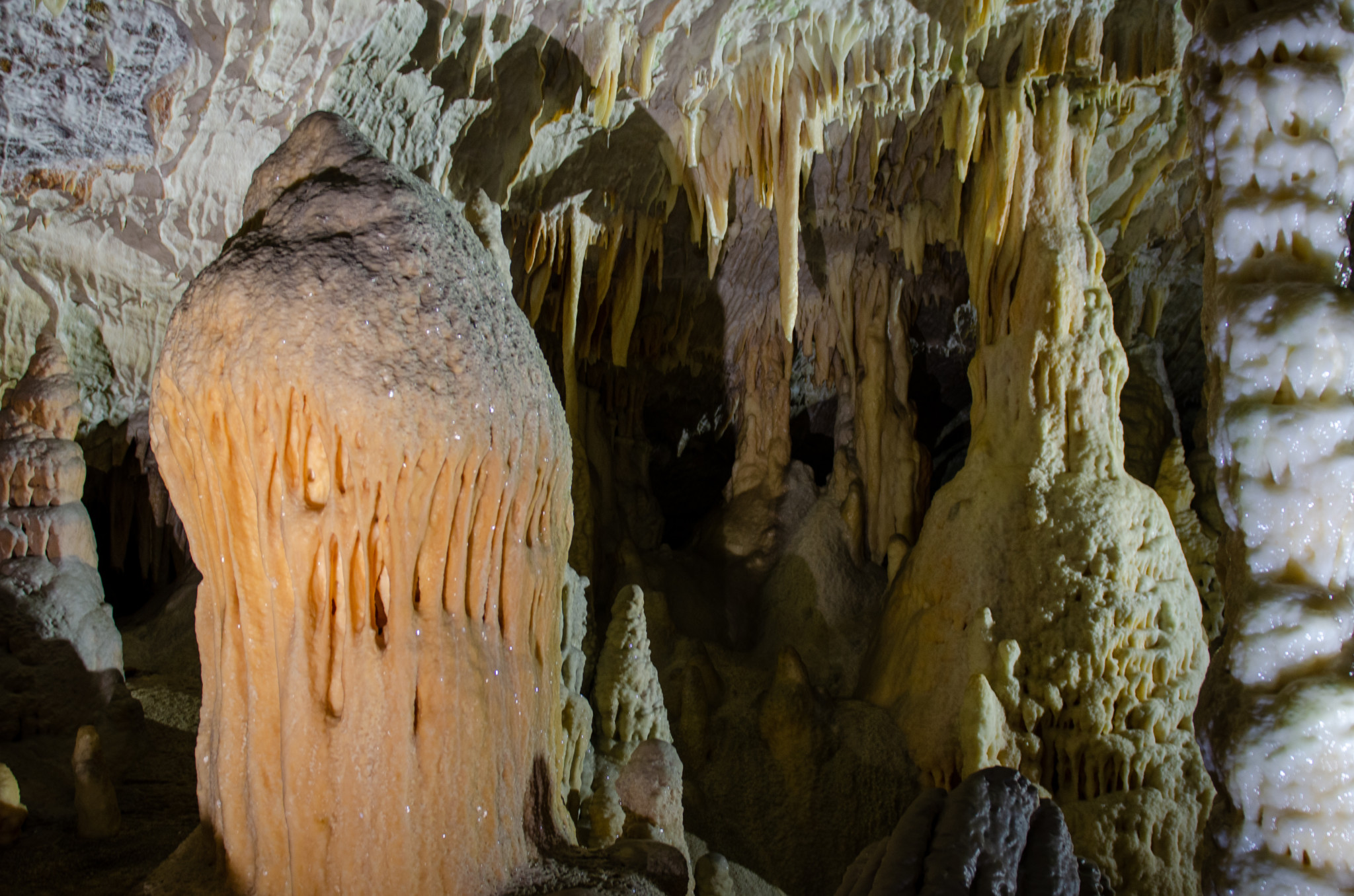 Das Höhlensystem Postojna ist super beeindruckend