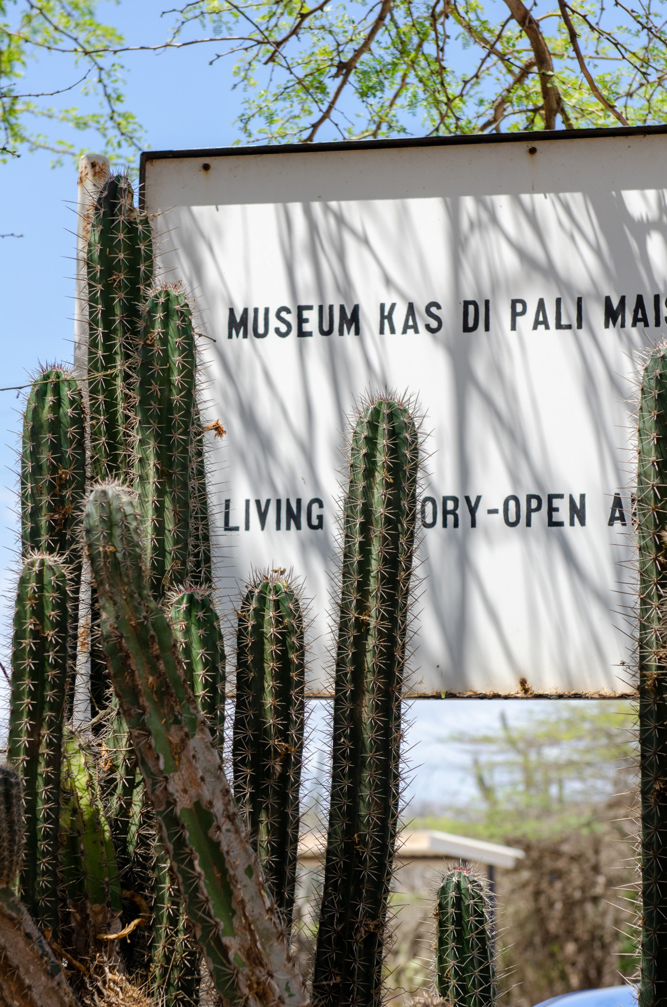 Kas di Pali Maishi Museum auf Curacao
