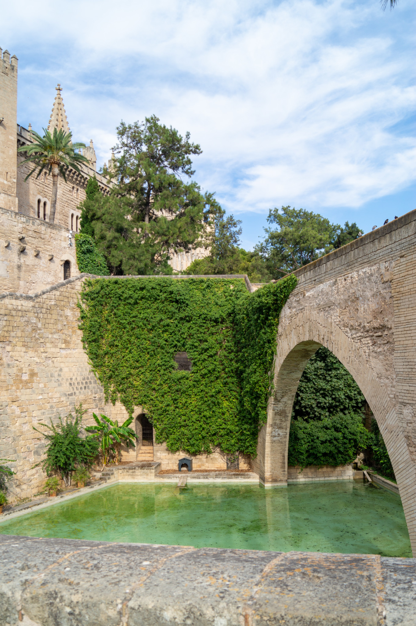 Besuch in der Kathedrale von Palma