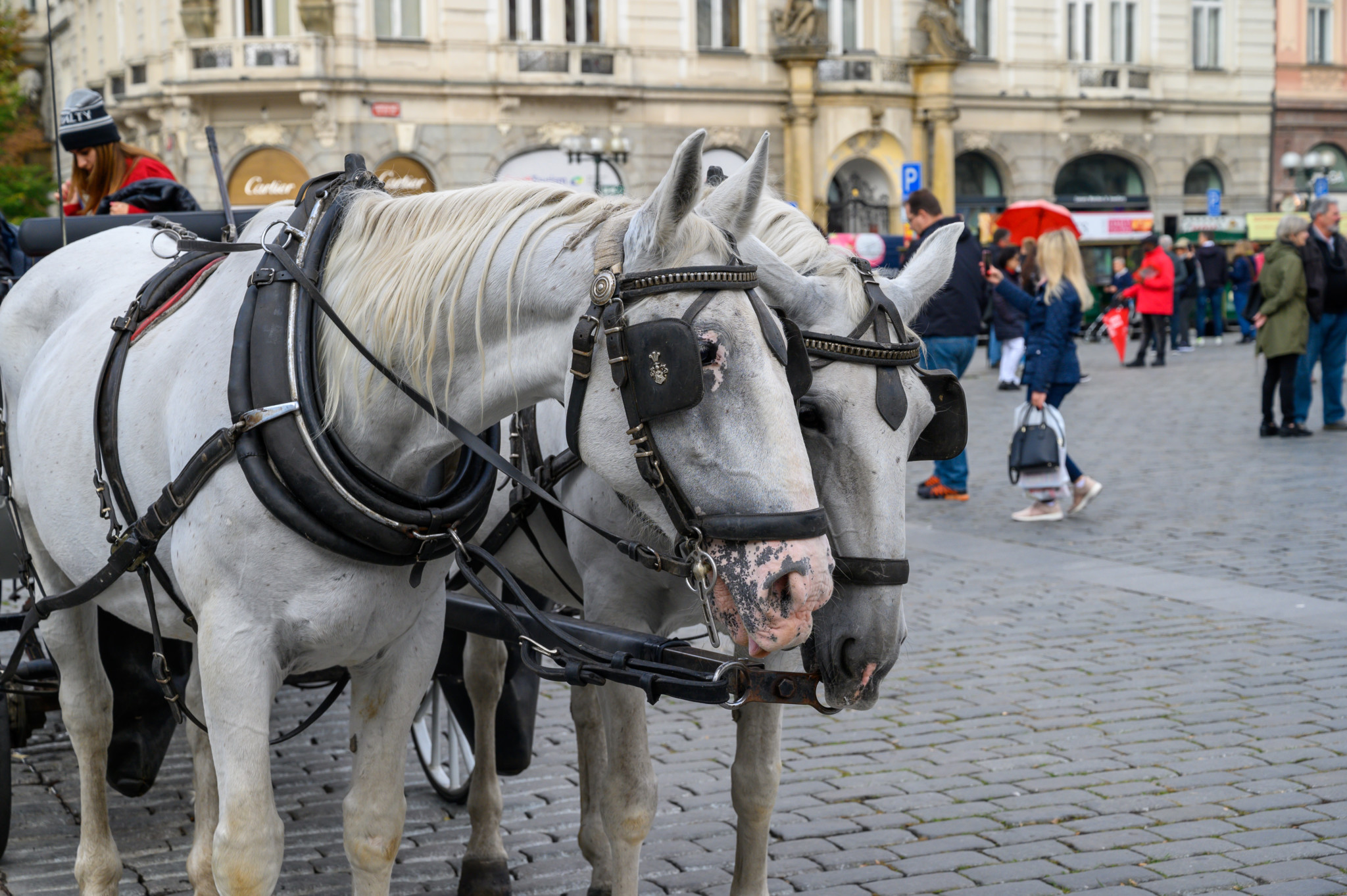 Mit der Kutsche durch die Altstadt von Prag