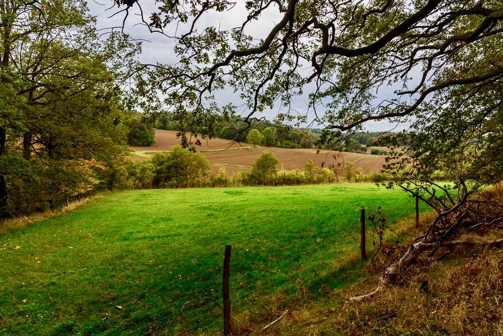 Wanderung am Kutschenberg in Brandenburg