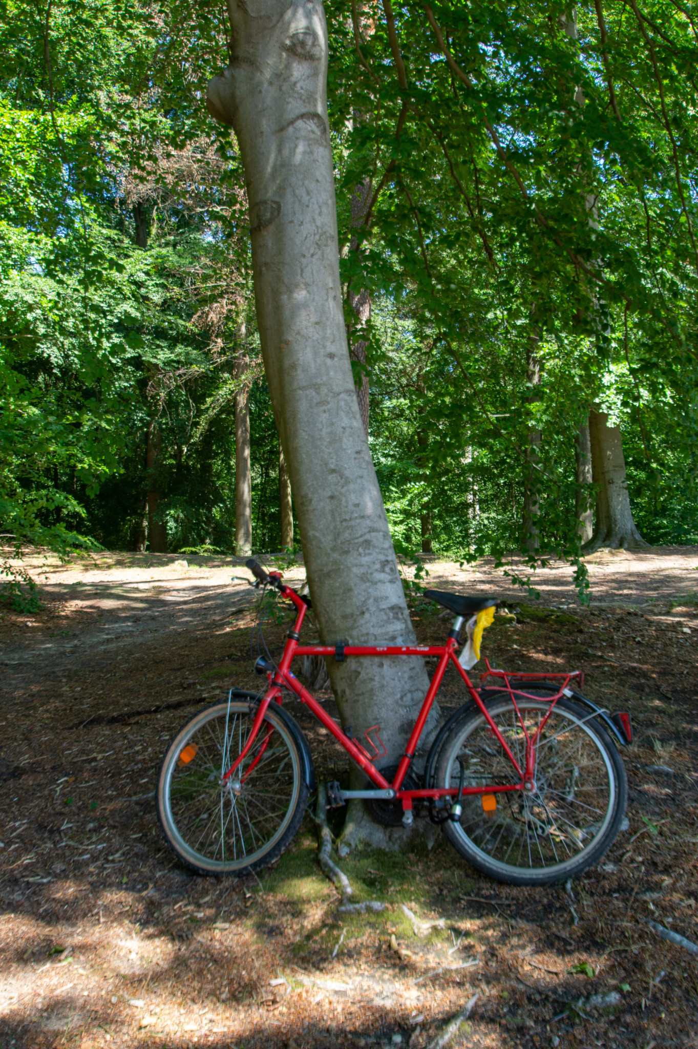 Radtour um die Uckerseen